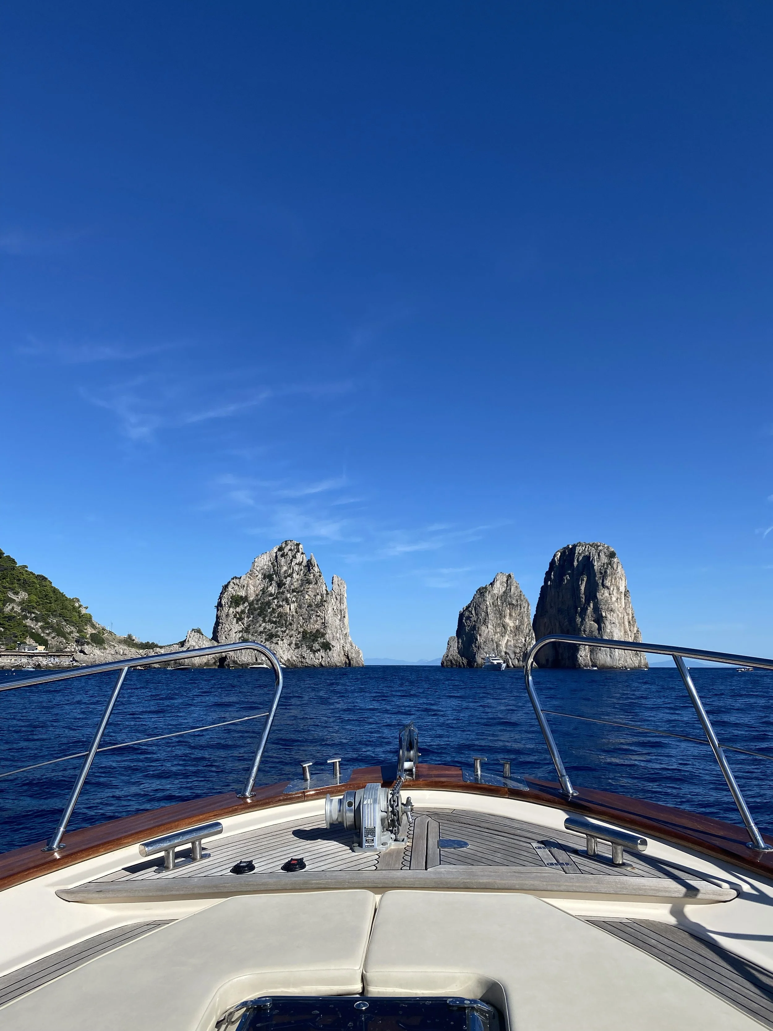 CAPRI9.jpg