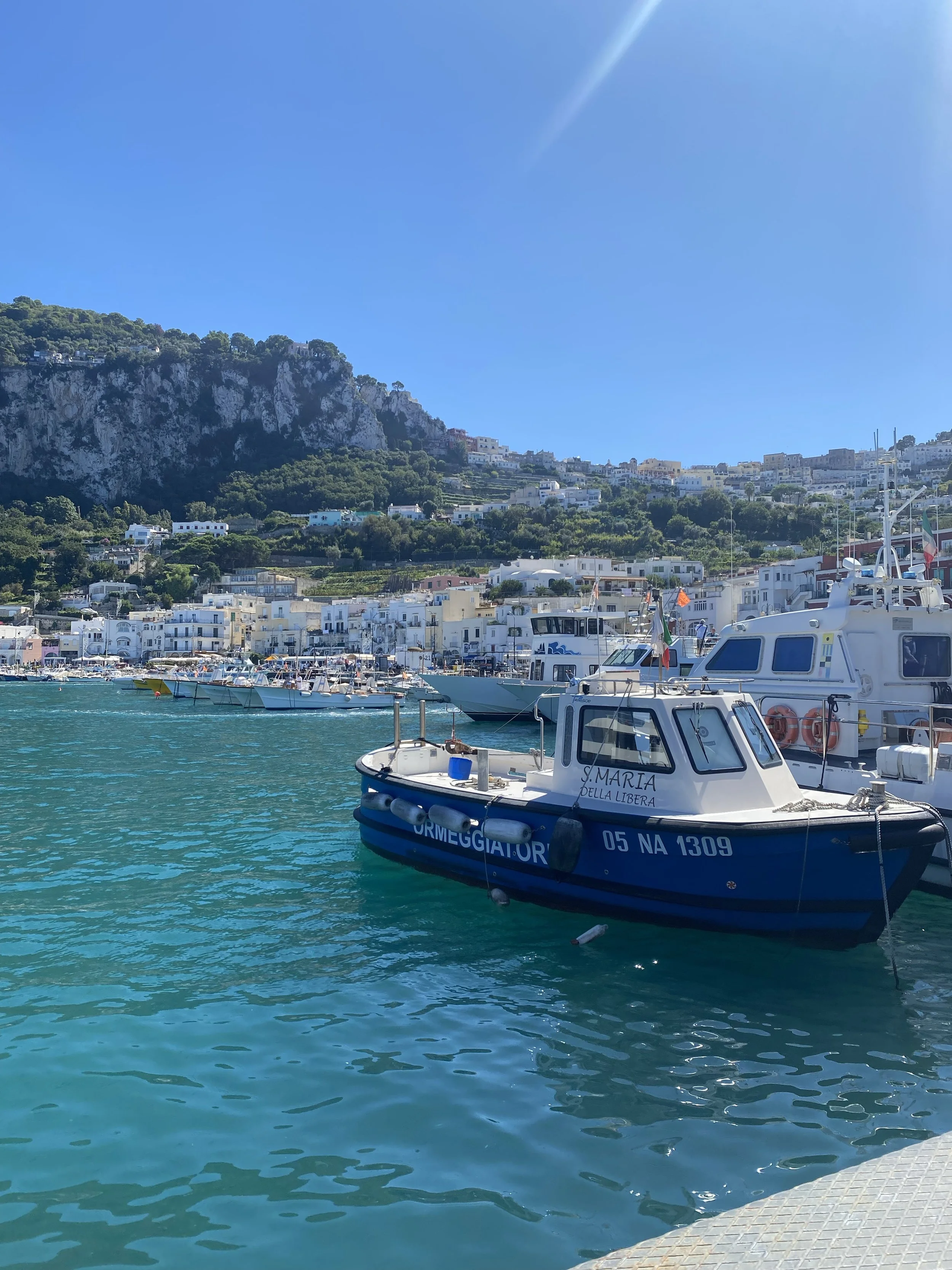 CAPRI1.jpg