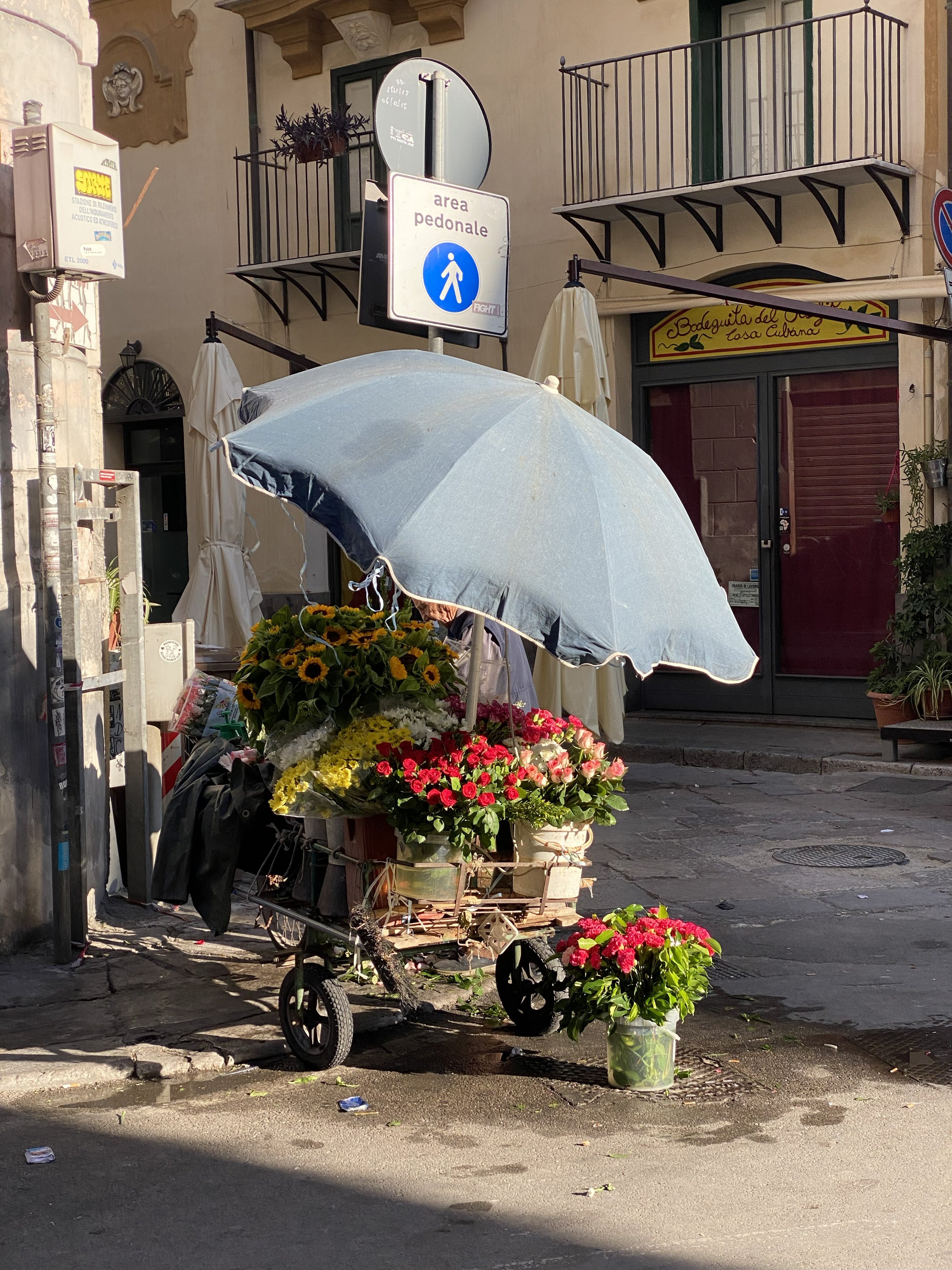 PALERMO8.jpg