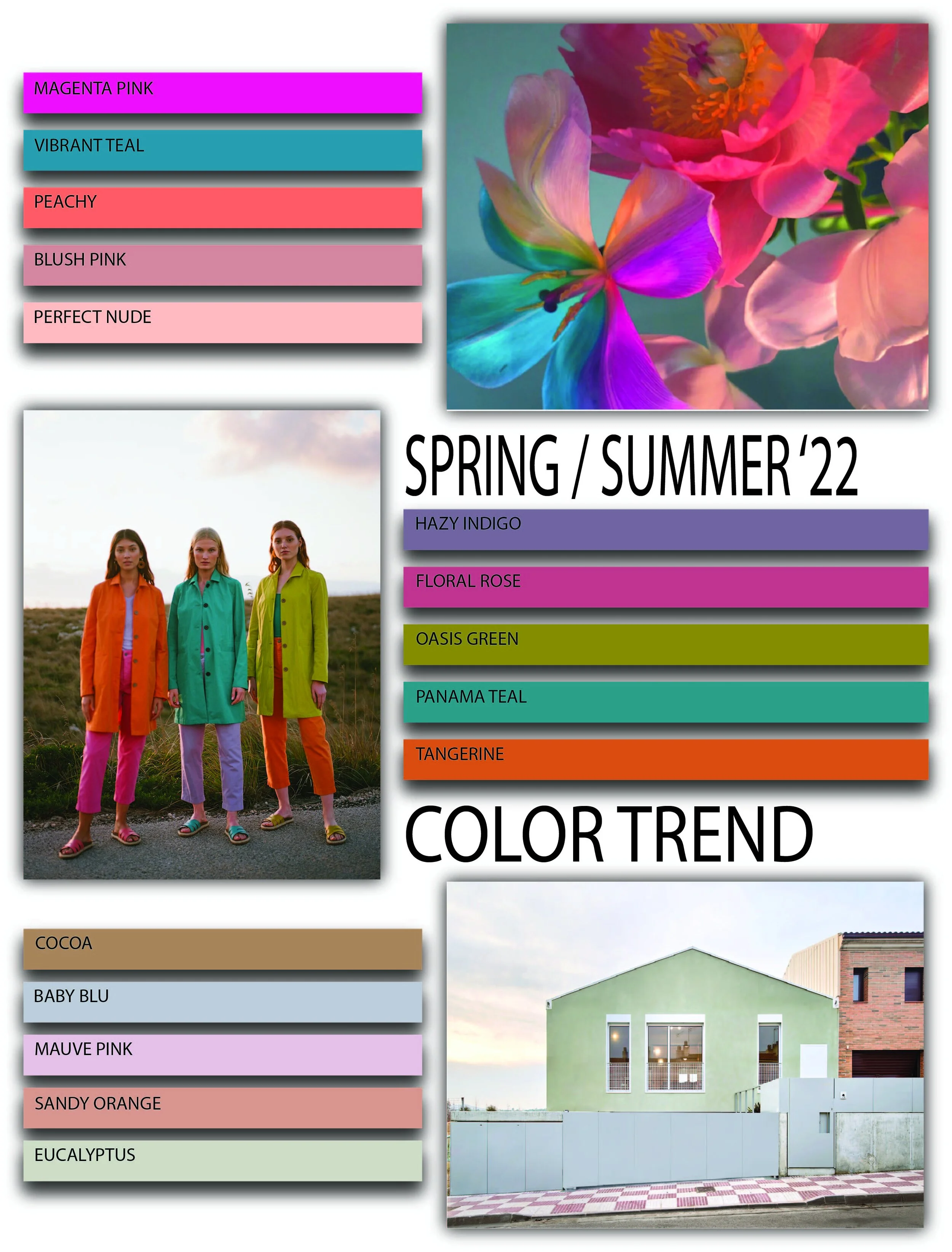 color trend activity