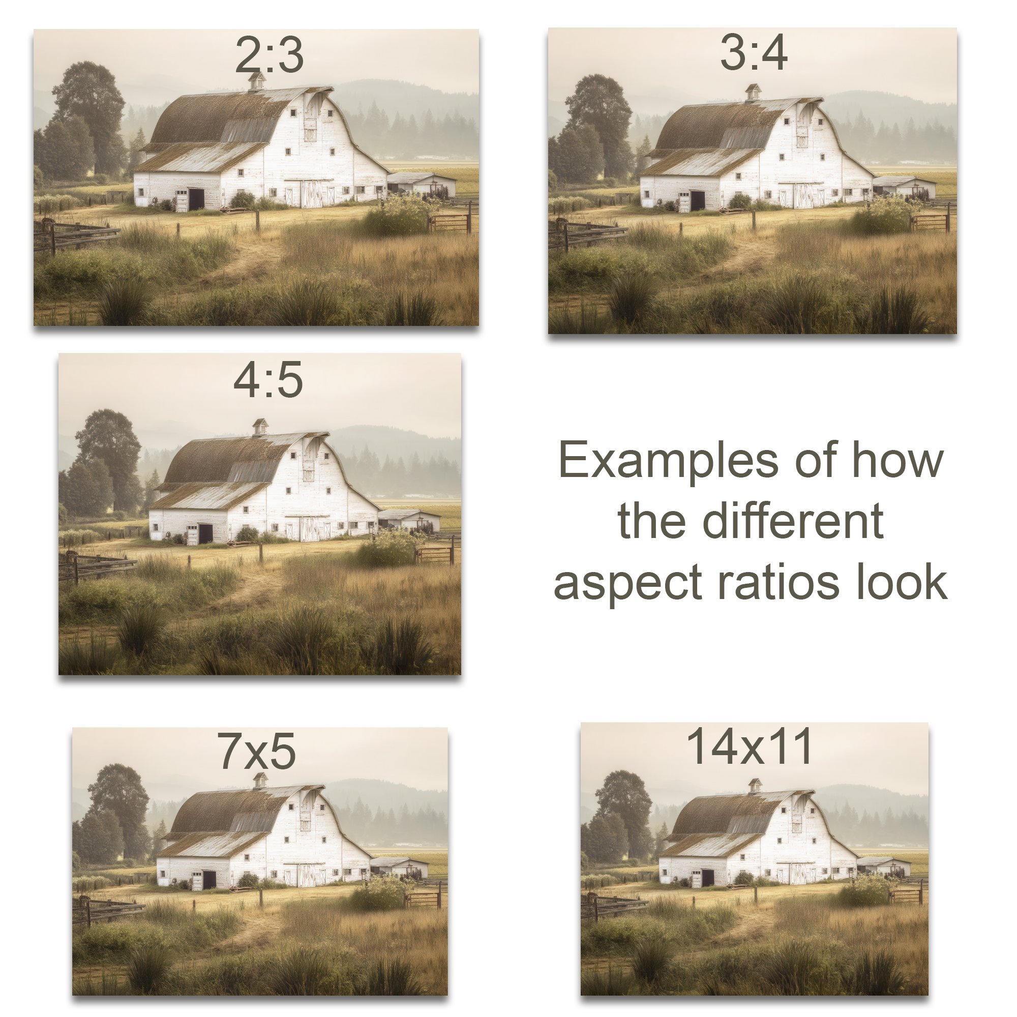 Art aspect ratio chart