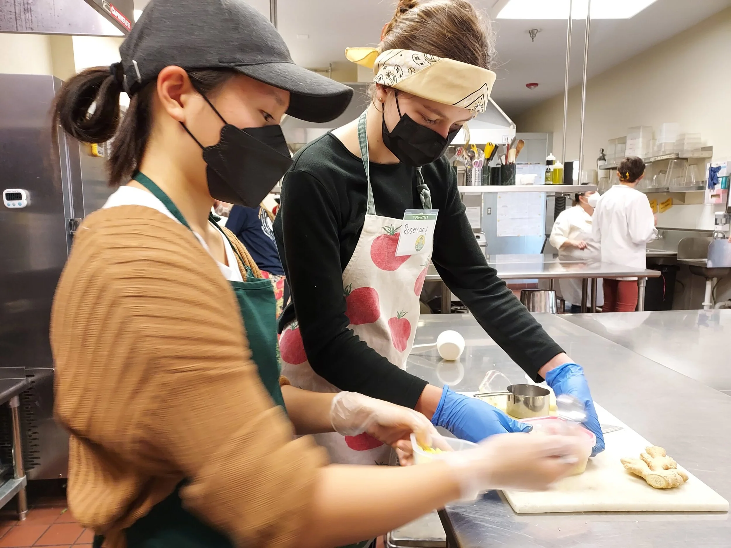 Ceres community project