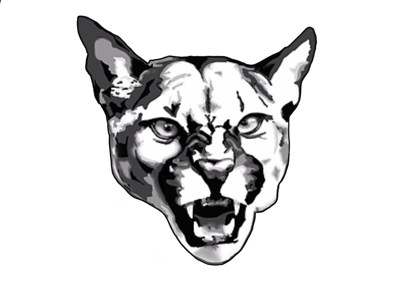 The military provides an alternative path to university