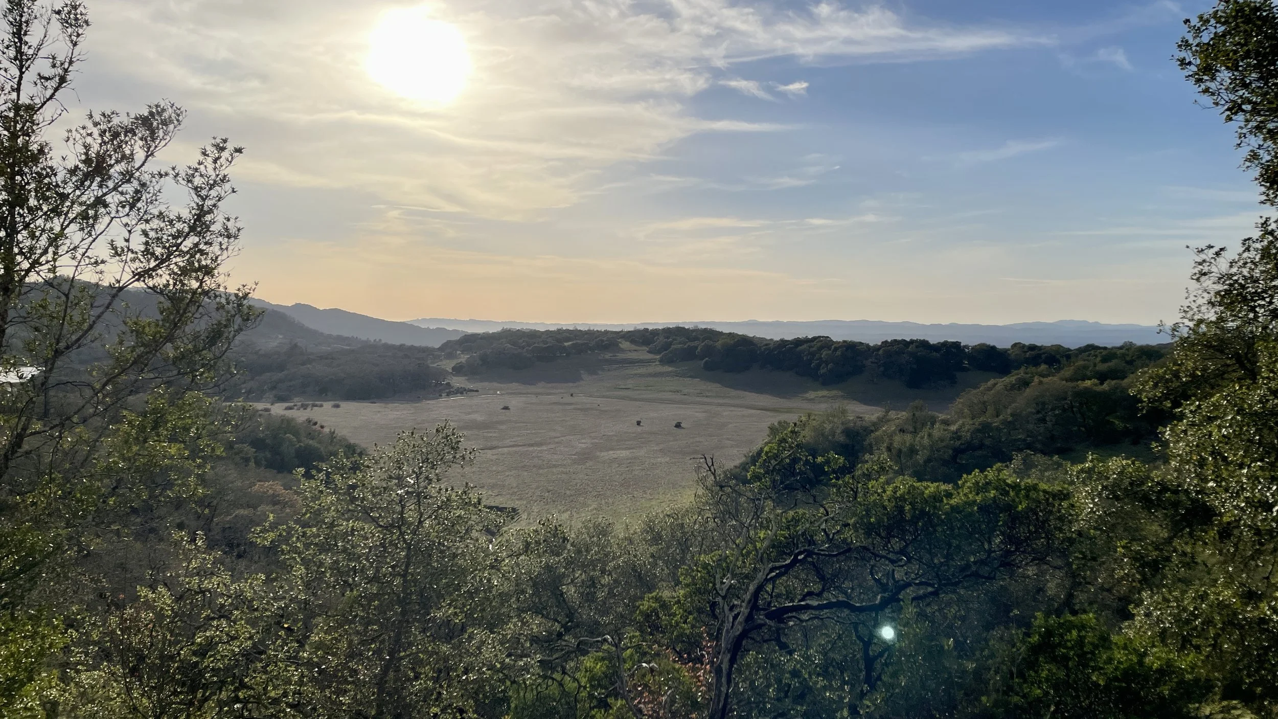 Spring break activities for when you’re bored