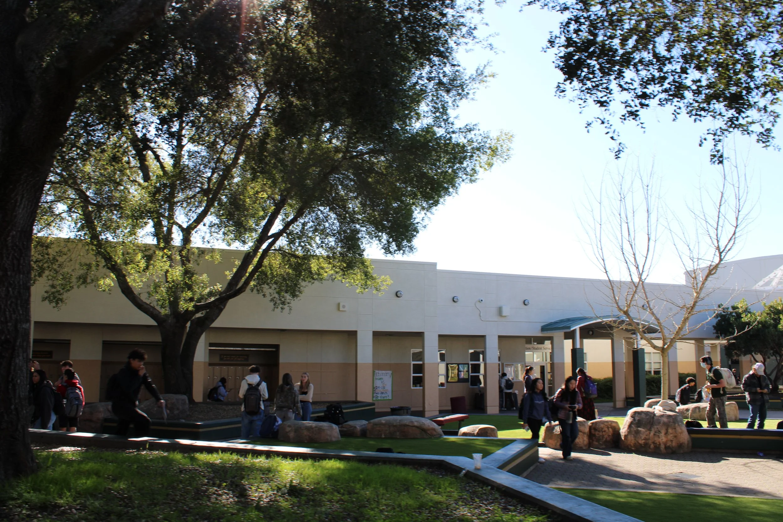 Here’s what 40 Carrillo students have to say about their school