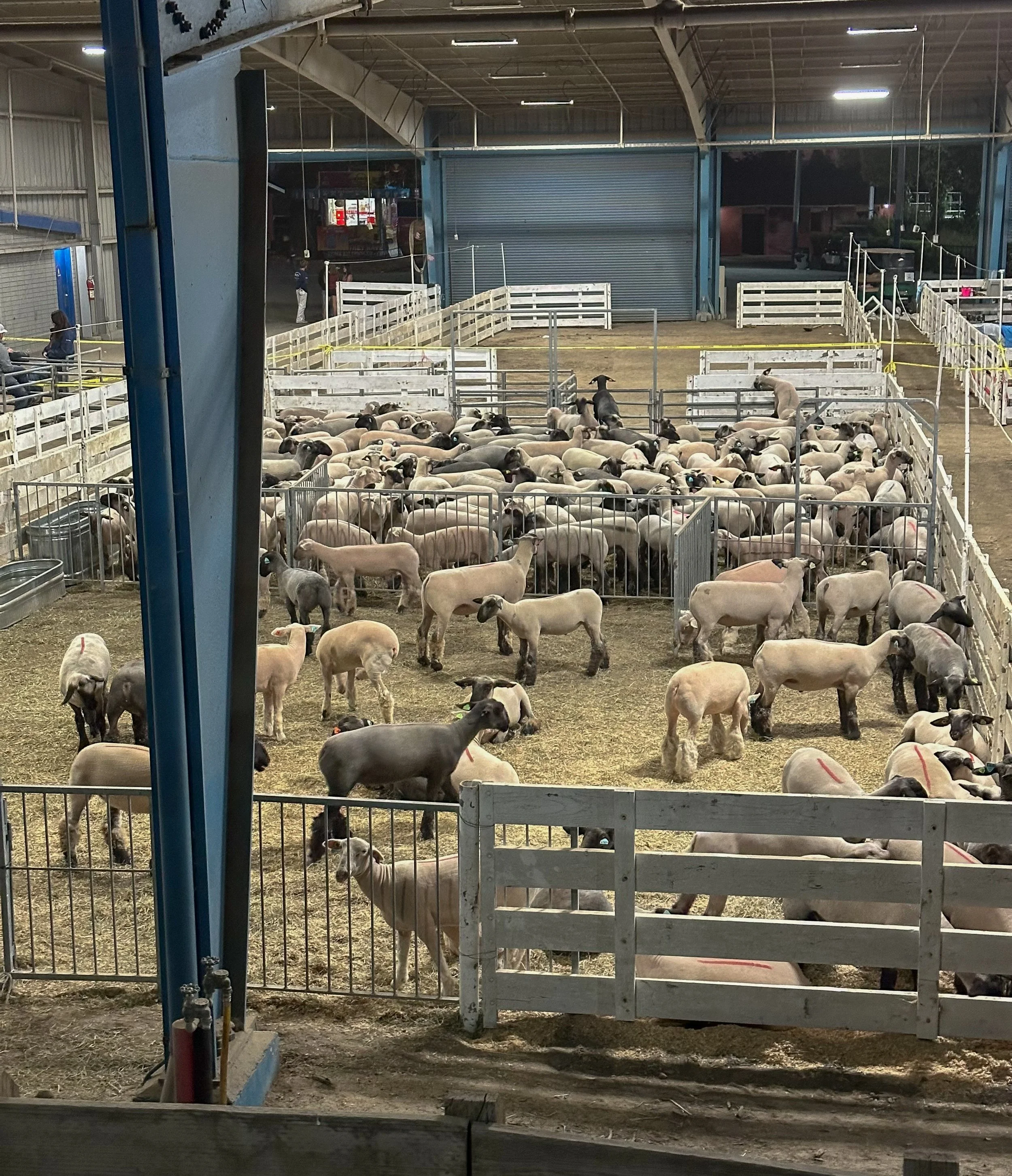 Proposition J and its effects: one year later