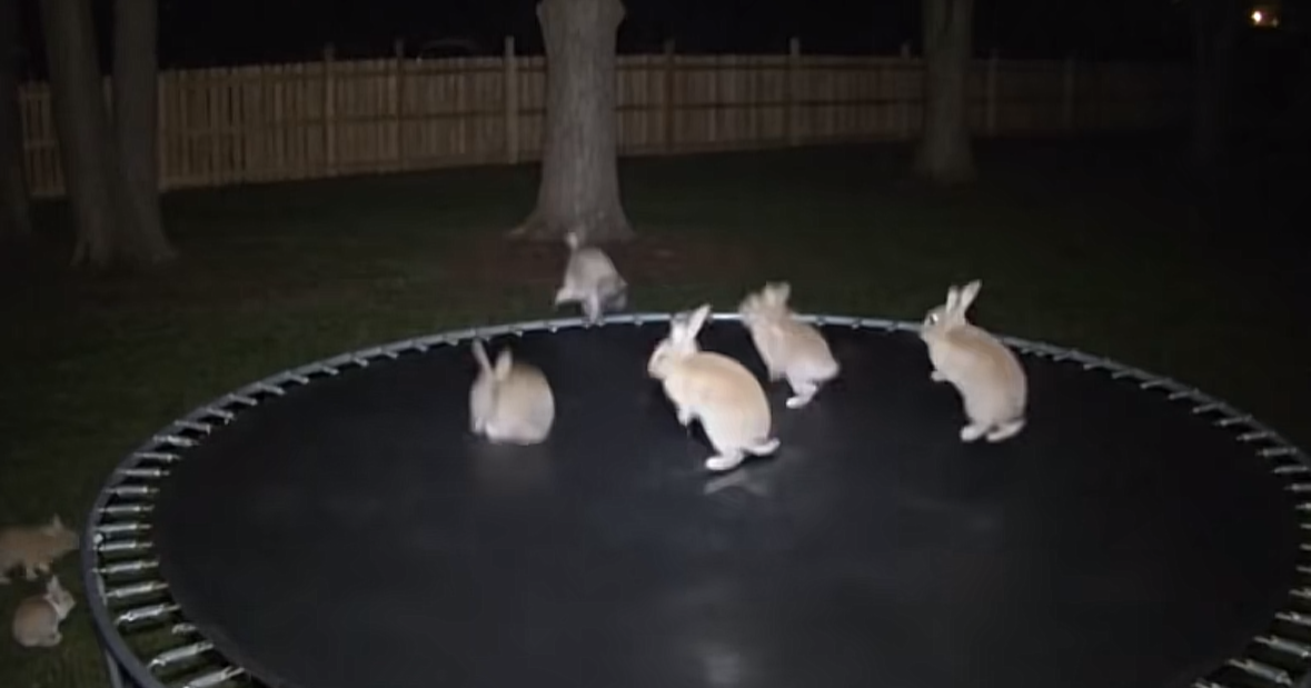 The worst form of flattery