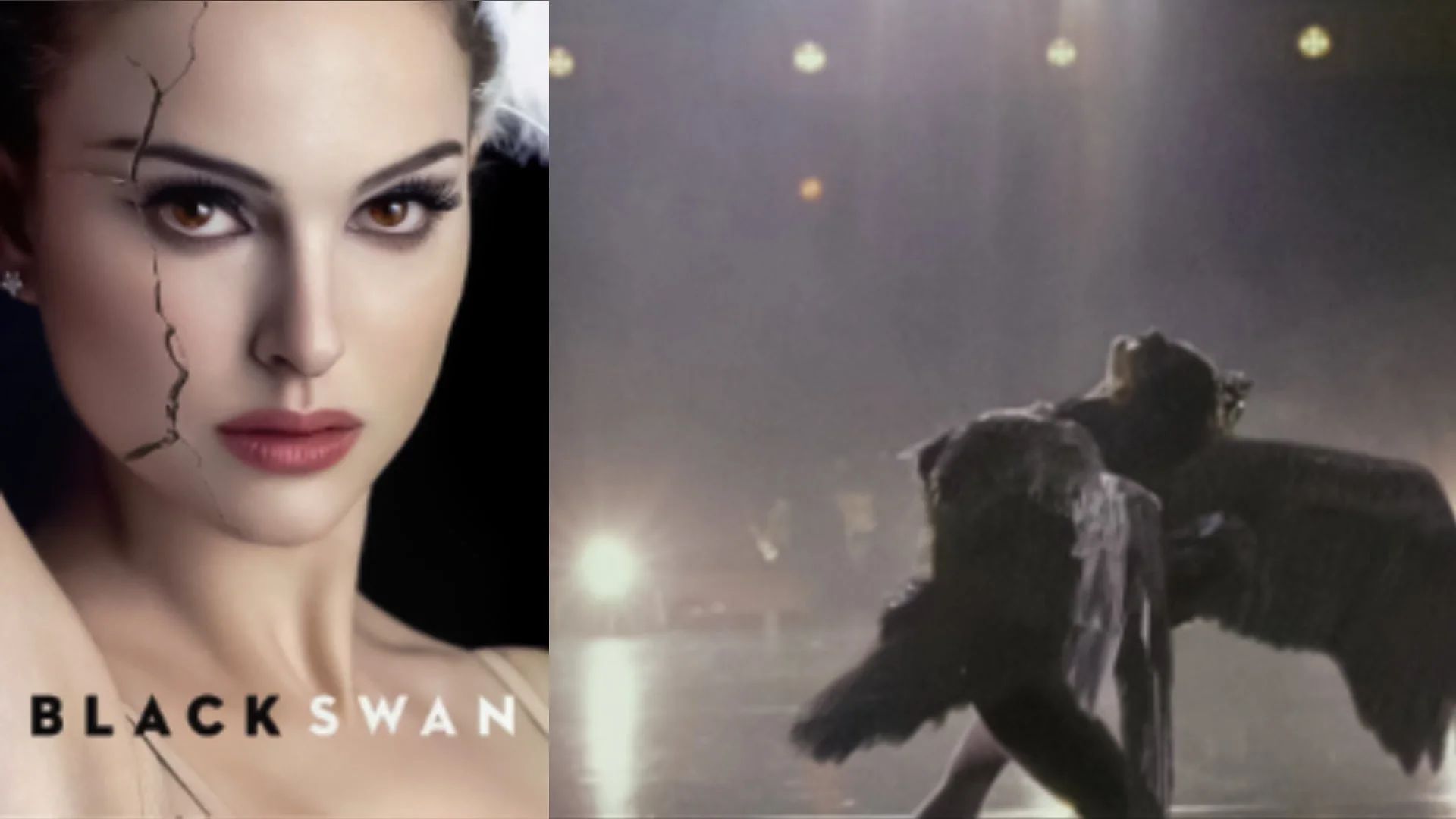 Black Swan: a fragile horror as pretty as a picture