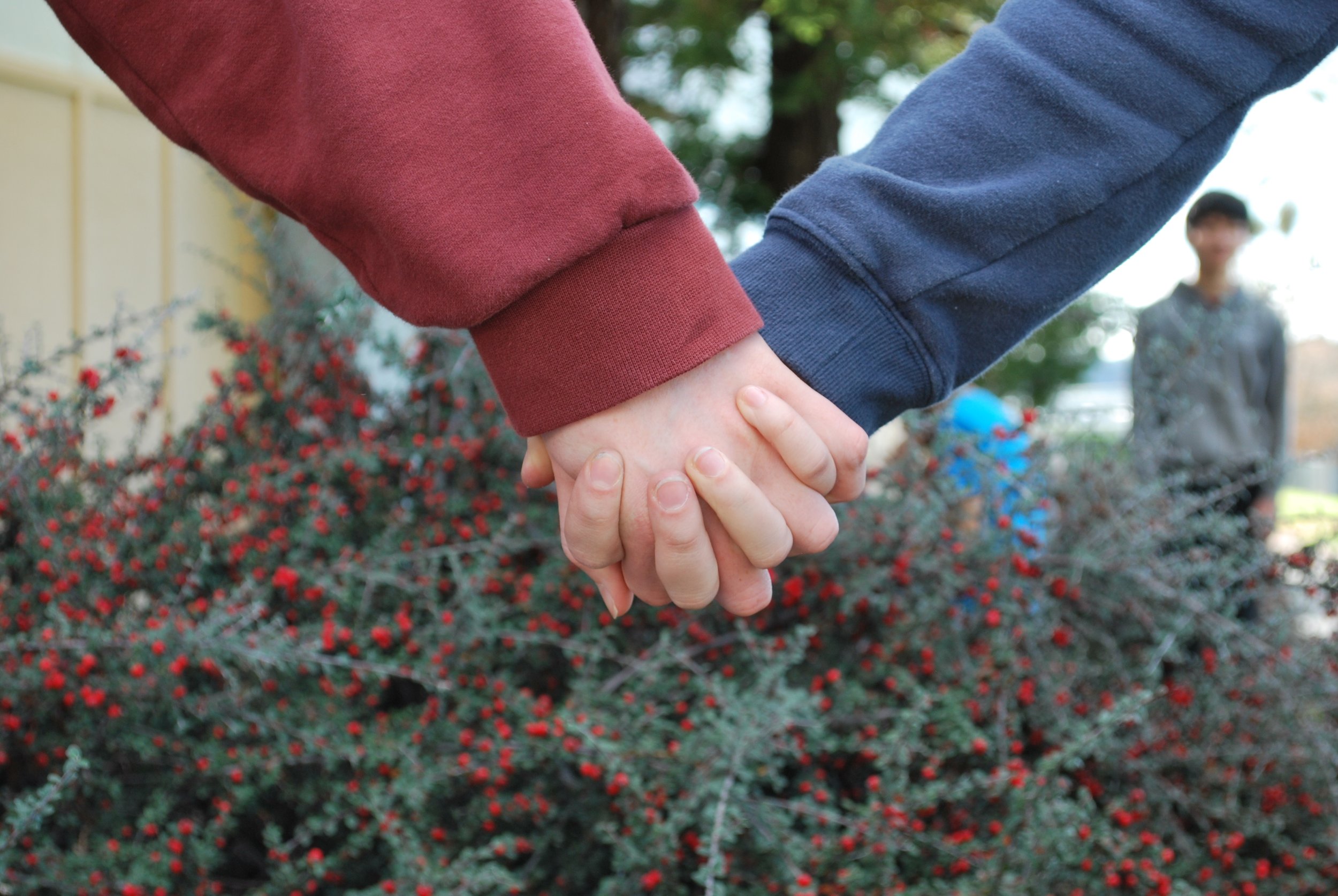 How to get your crush to like you