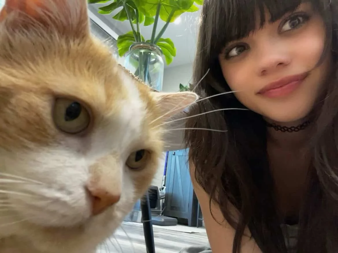 Pumas care for other cats: CookiesForAlfred