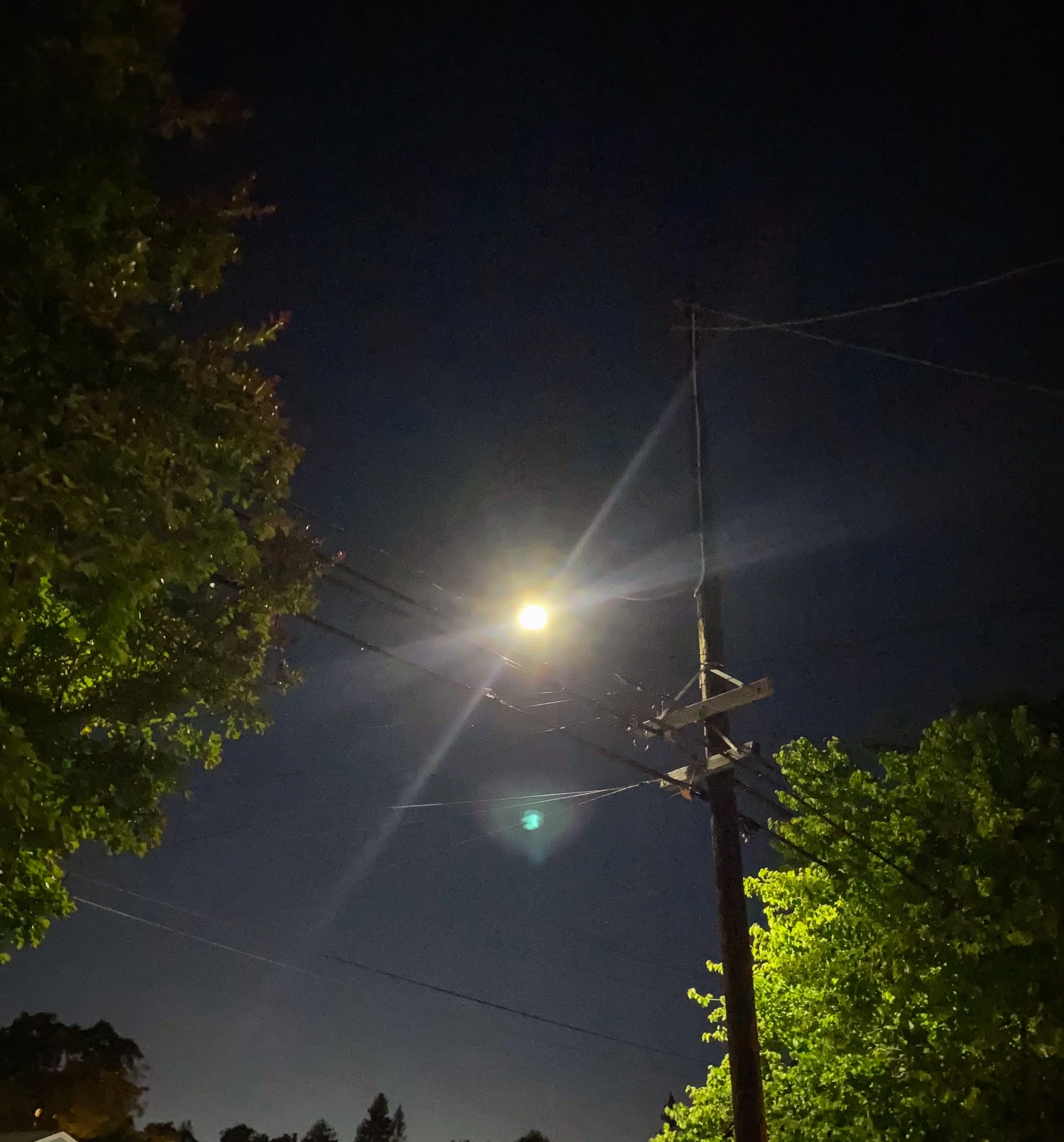 The dangers of light pollution