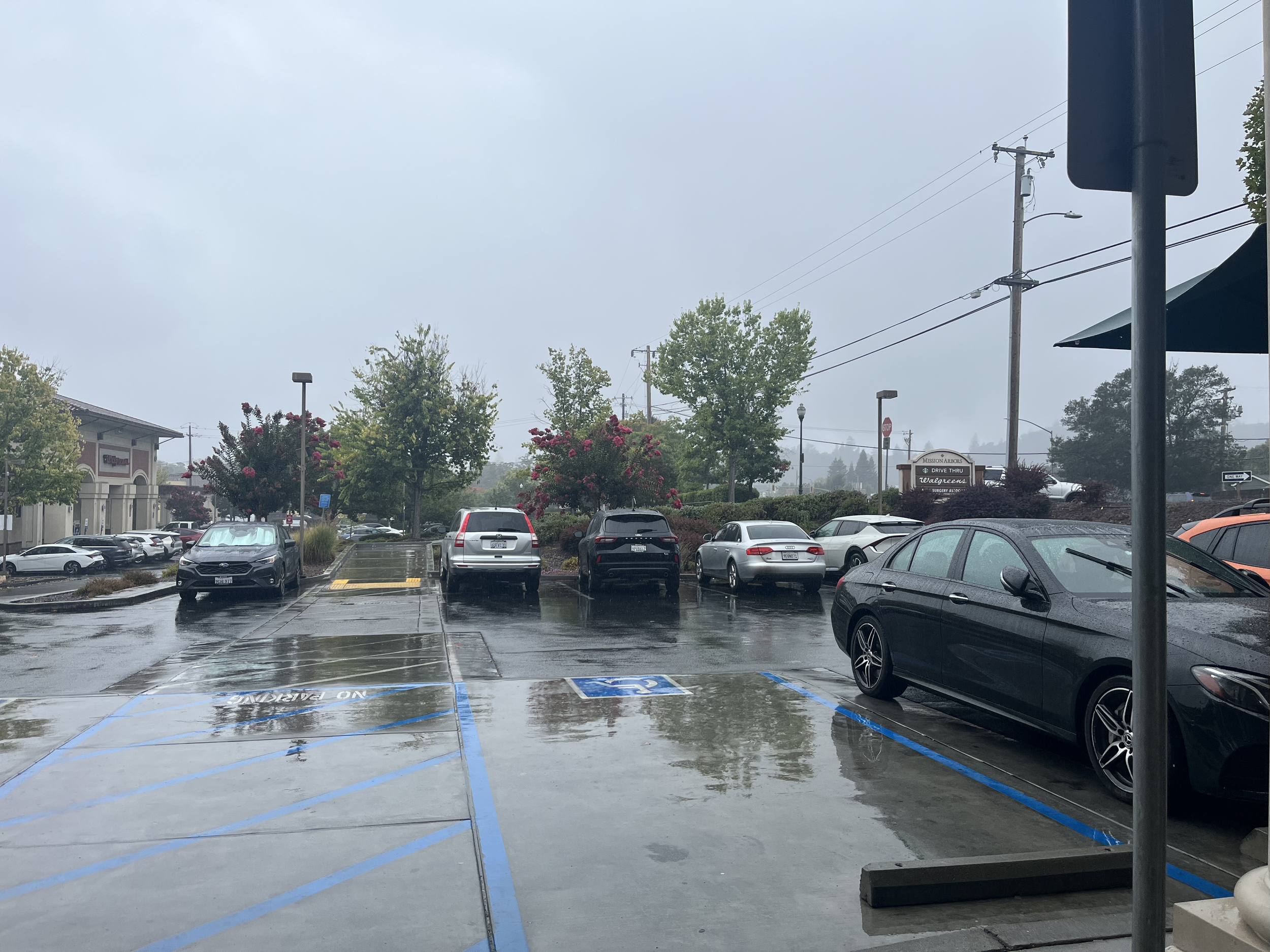 How will the upcoming “super” El Niño affect Sonoma County?