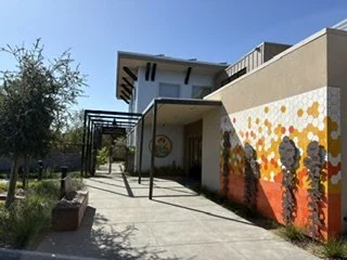The top three volunteer opportunities in Santa Rosa