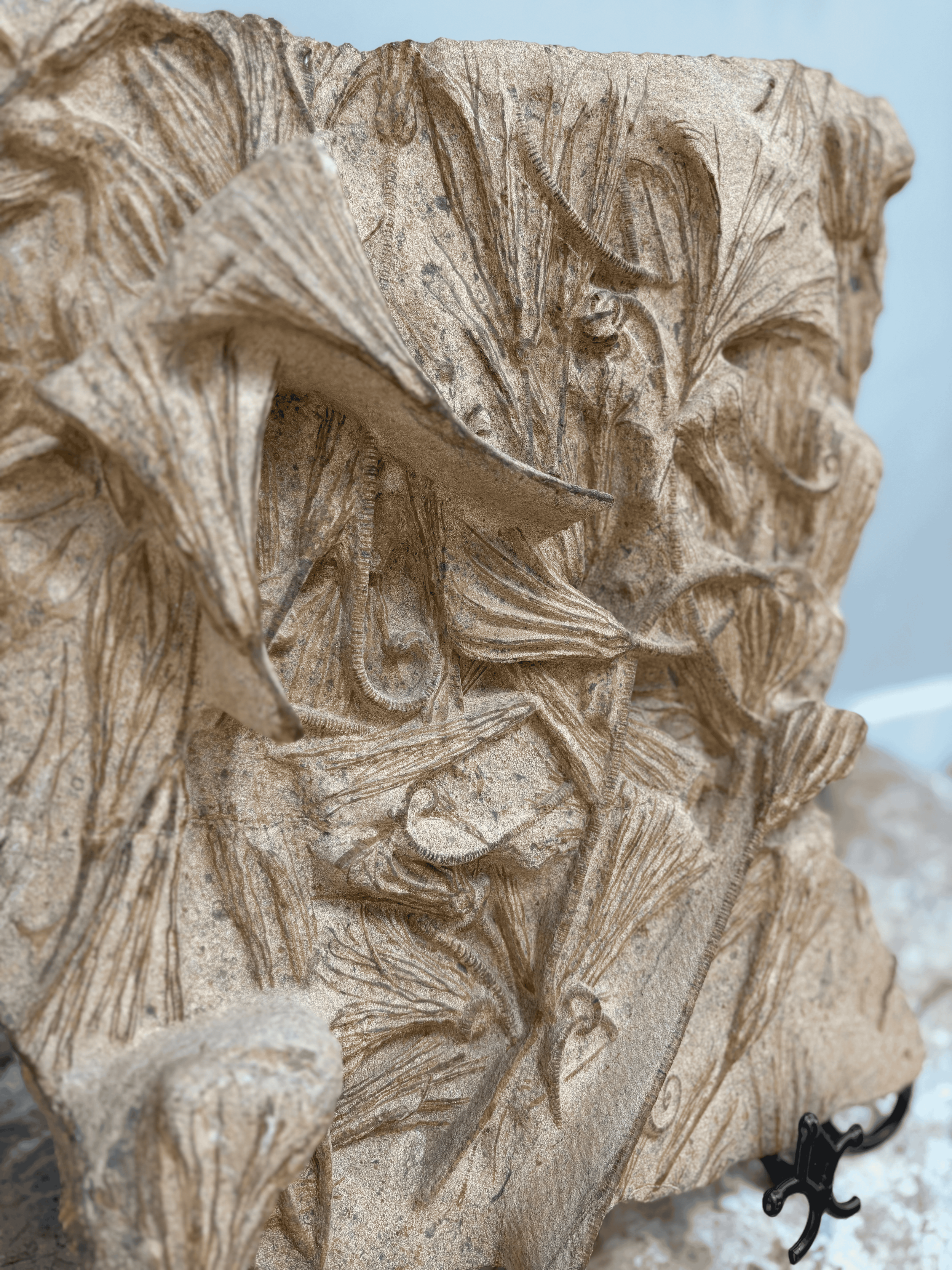 Square Sculpture.2.png