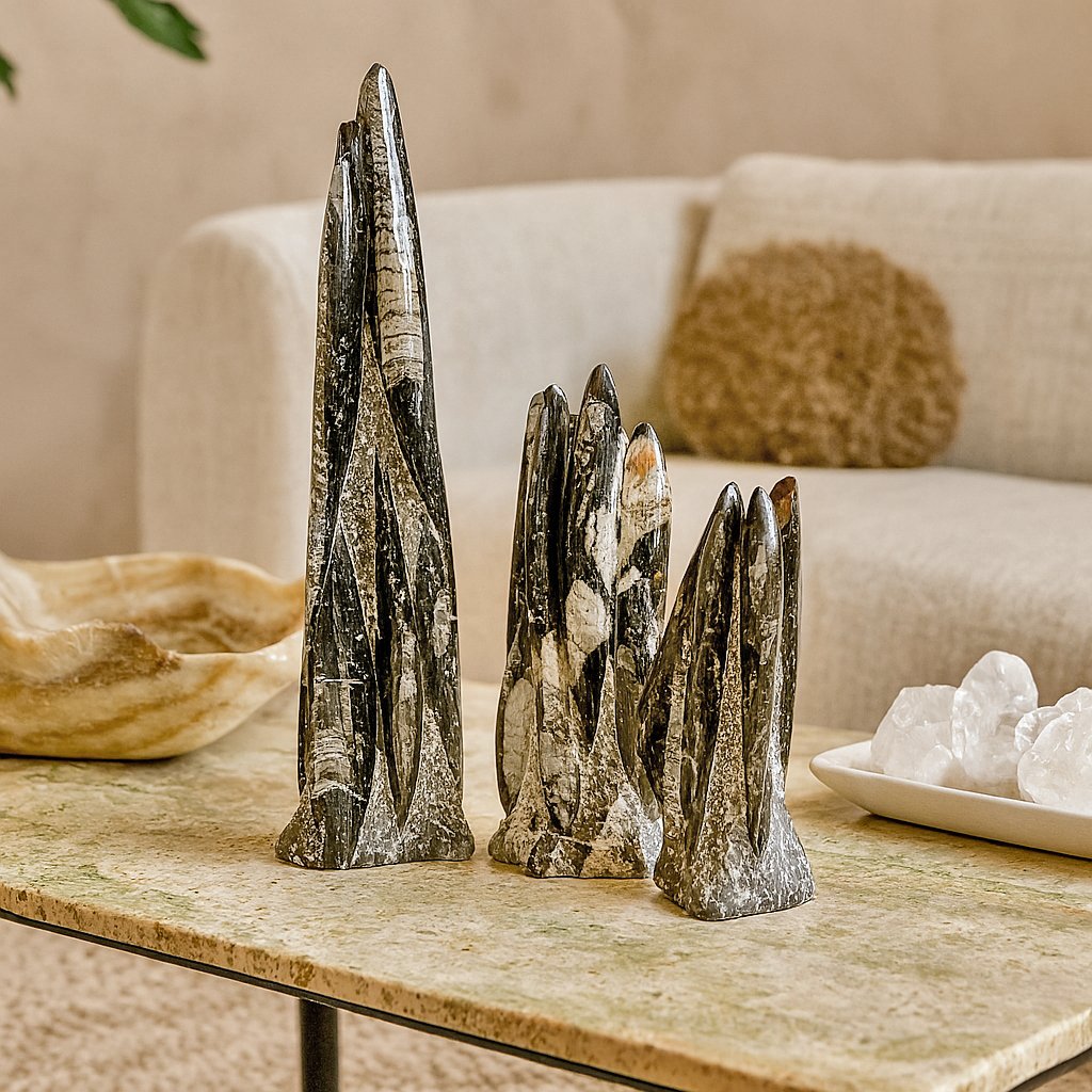 Orthoceras Fossil Sculpture Set