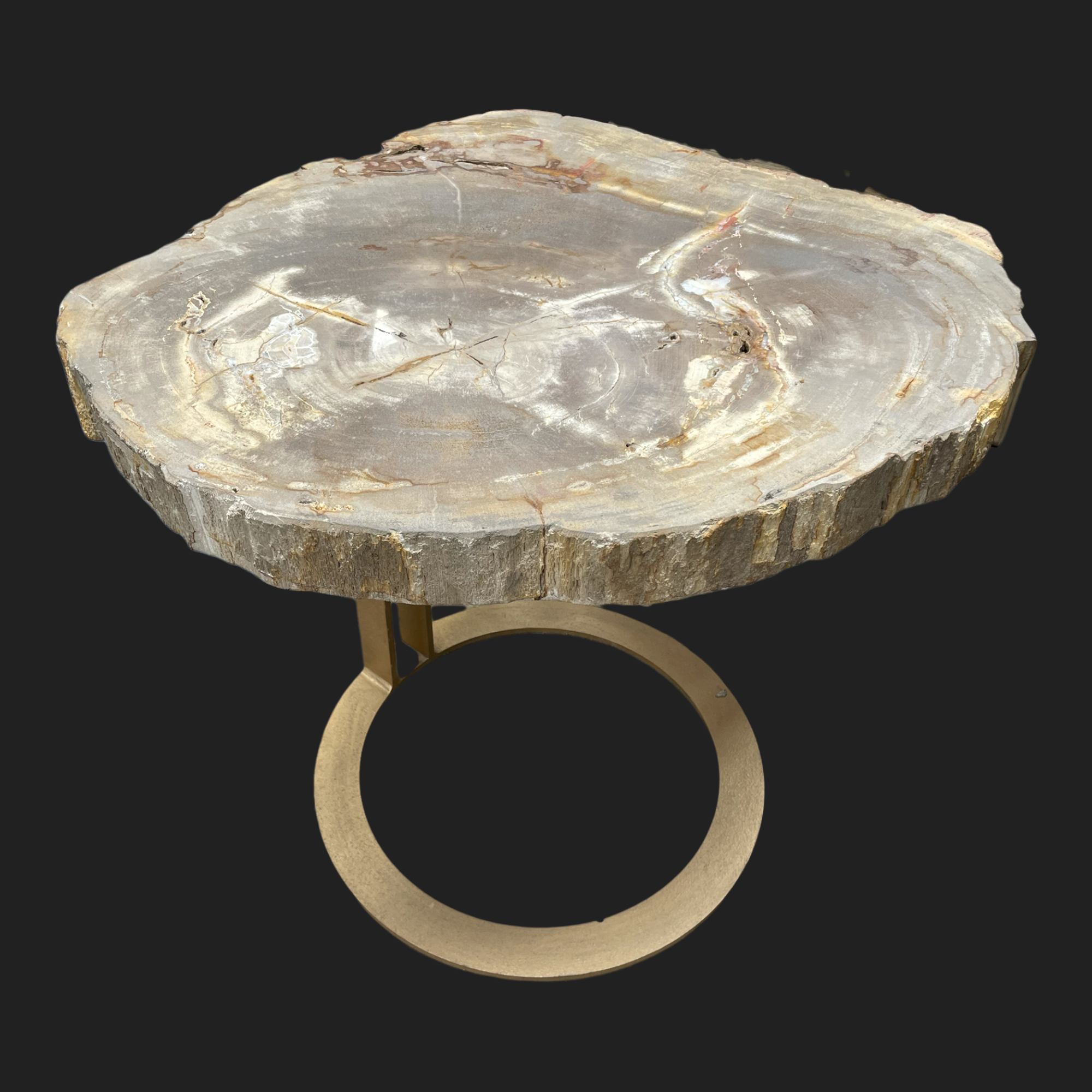 Round petrified wood side table on brass ring