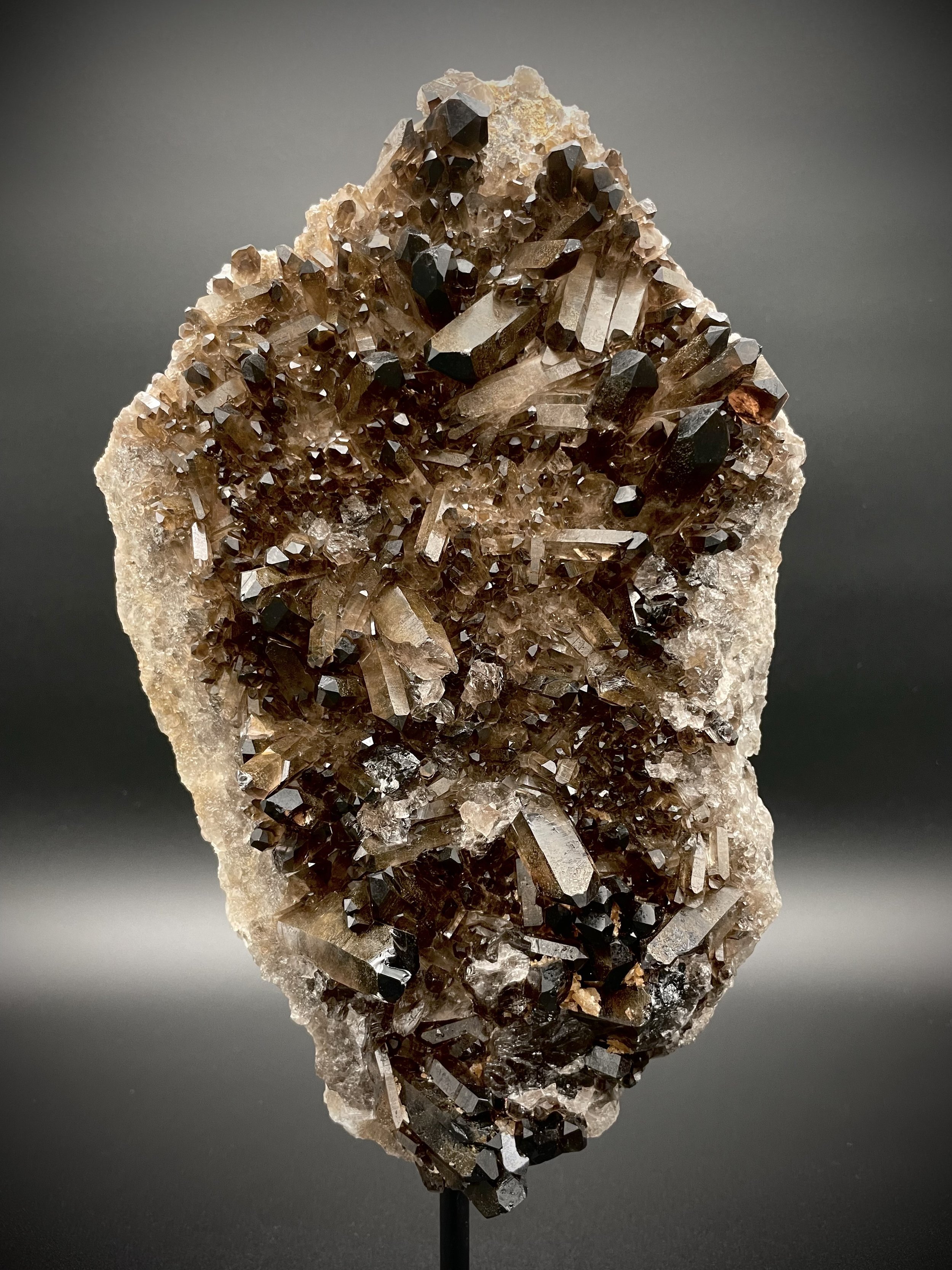 Mounted smoky quartz crystal slab with dark caramel points on black iron stand