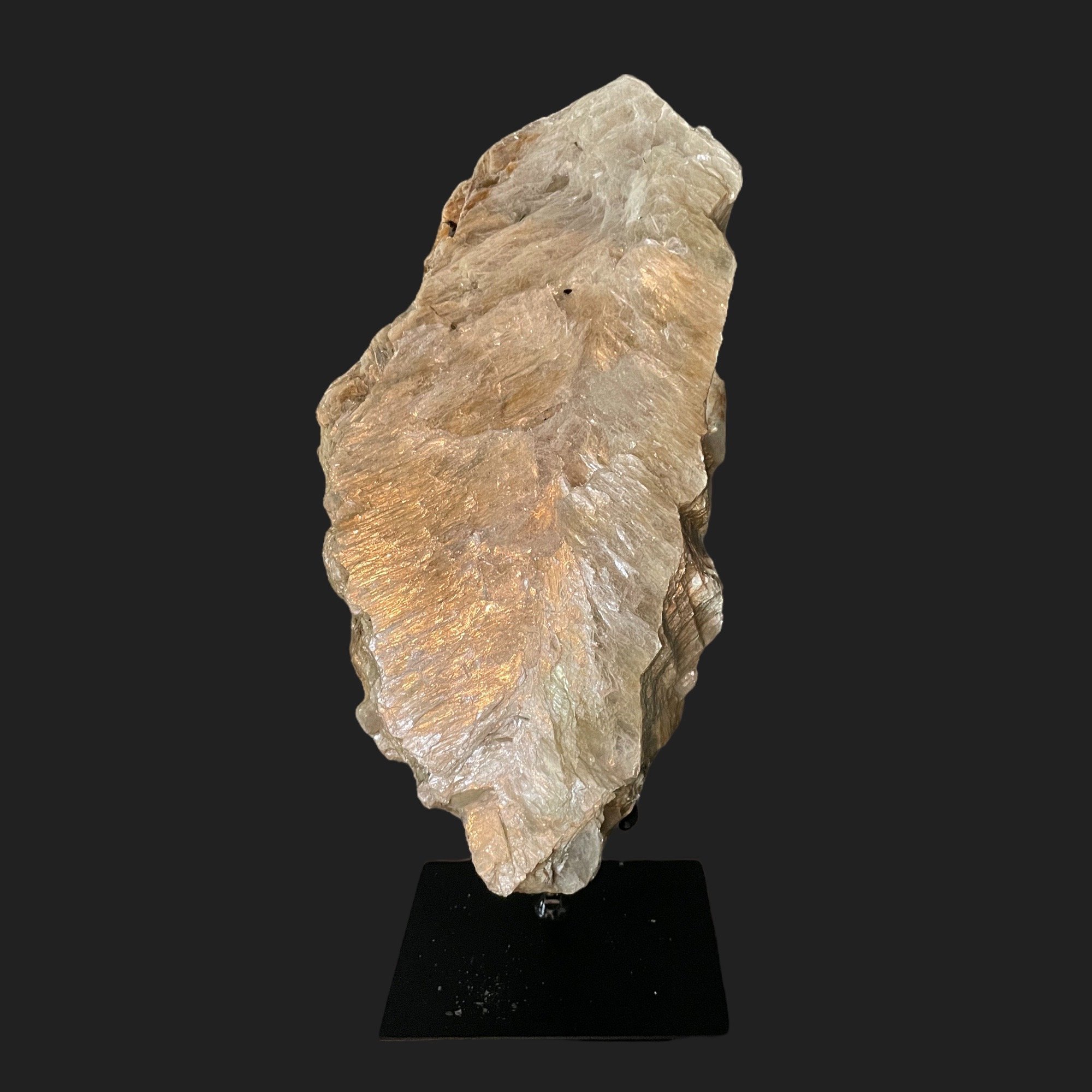 Standing Golden Mica mineral specimen on black metal base