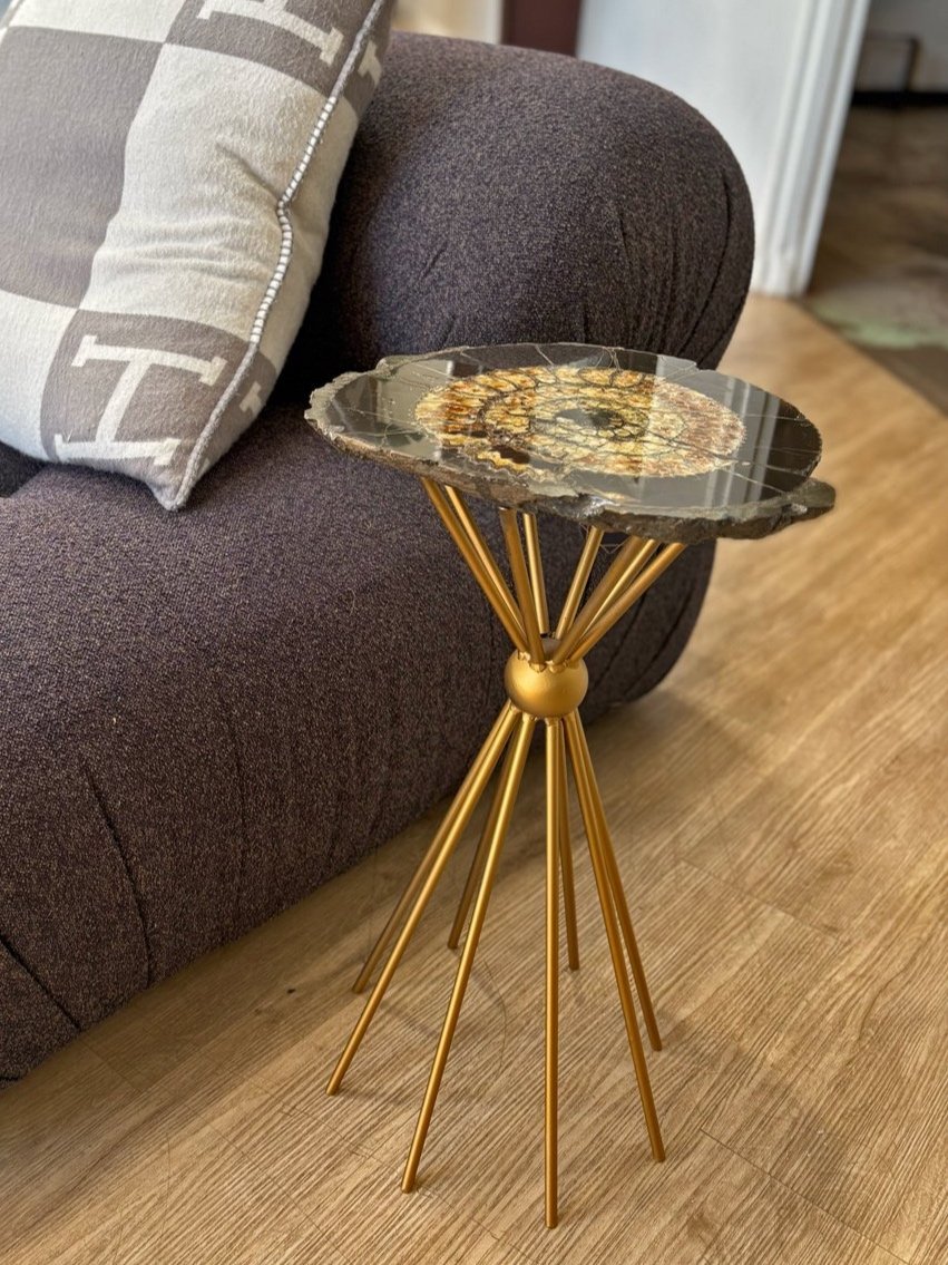 Genuine ammonite fossil accent table with golden spiral detailing and modern brass base
