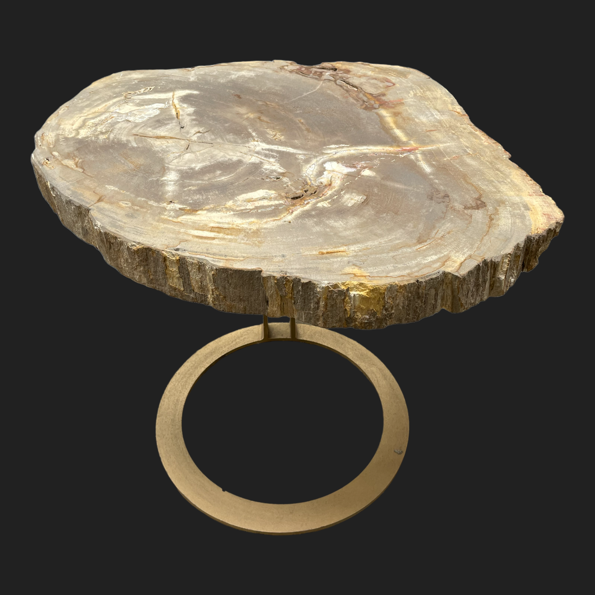Round petrified wood side table on brass ring