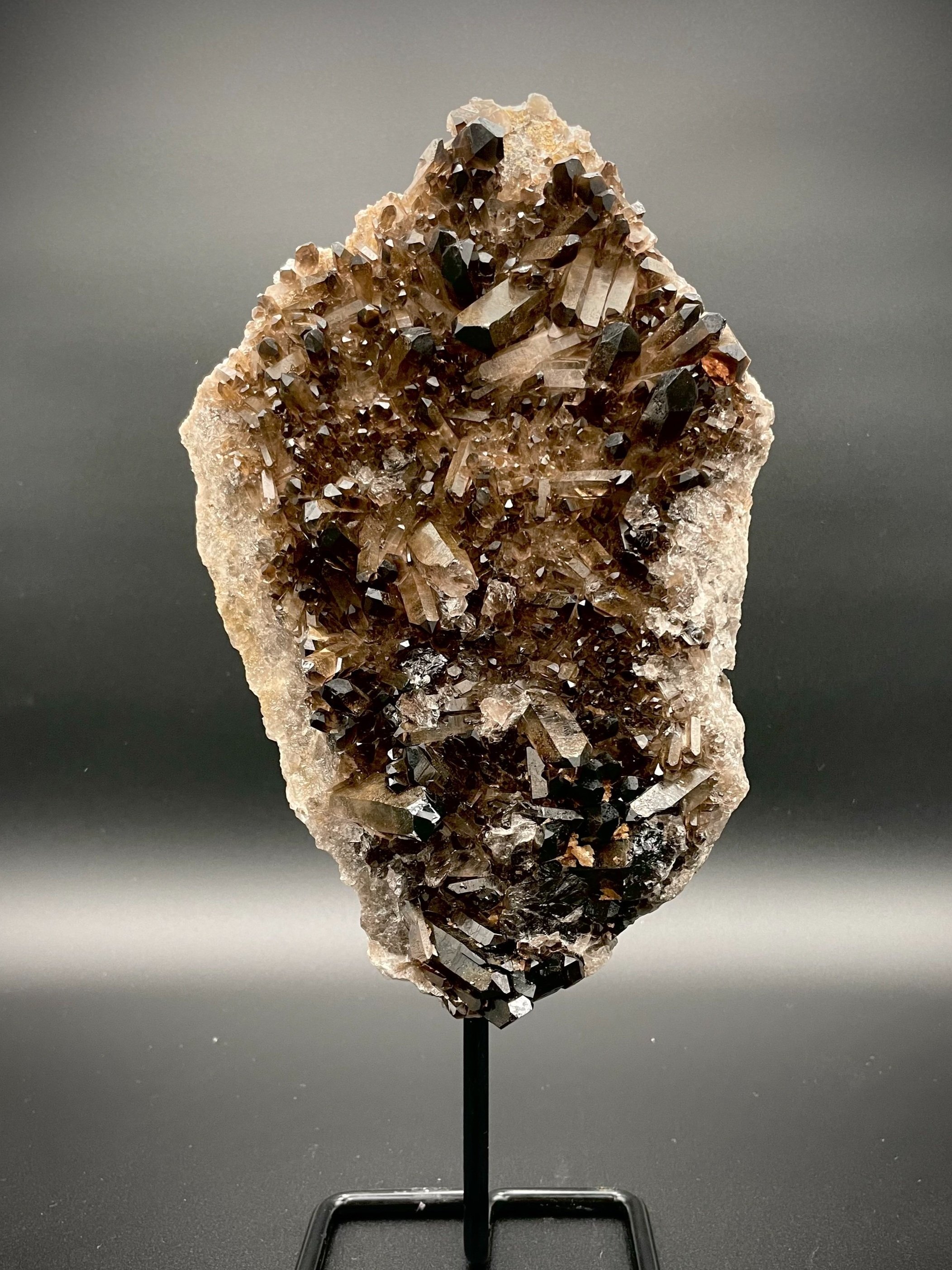 Mounted smoky quartz crystal slab with dark caramel points on black iron stand