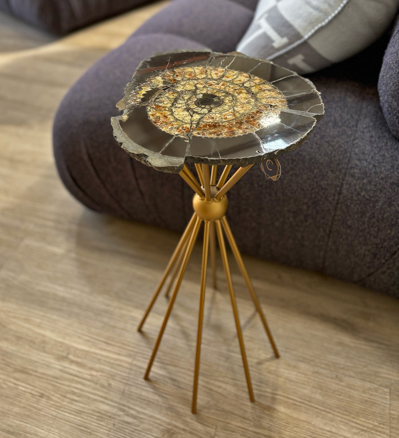 Genuine ammonite fossil accent table with golden spiral detailing and modern brass base