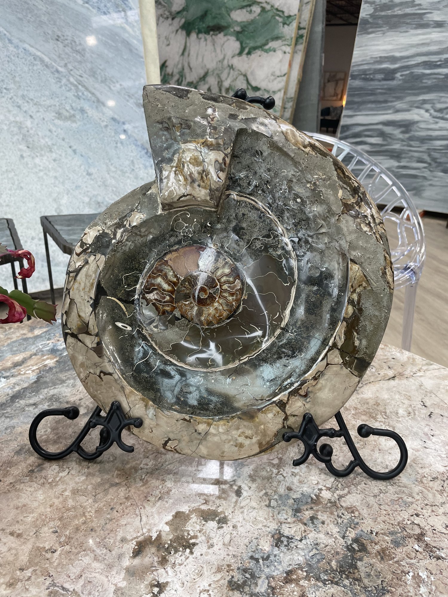 Polished ammonite fossil dish displayed upright on a stand with visible mineral veining