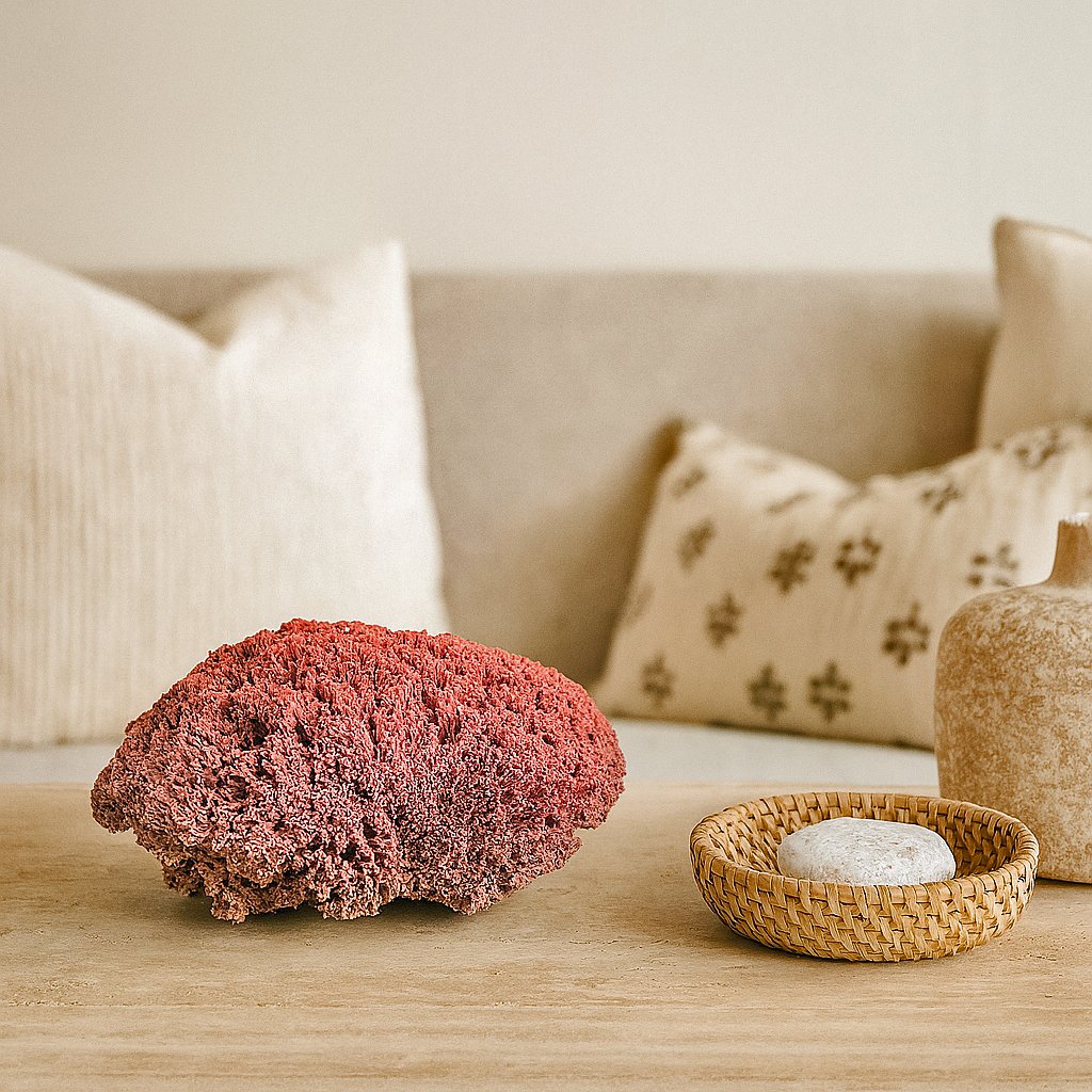 Natural red coral cluster with intricate tube structure, styled as a decorative accent.
