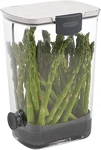 A countertop vegetable steamer with fresh asparagus inside