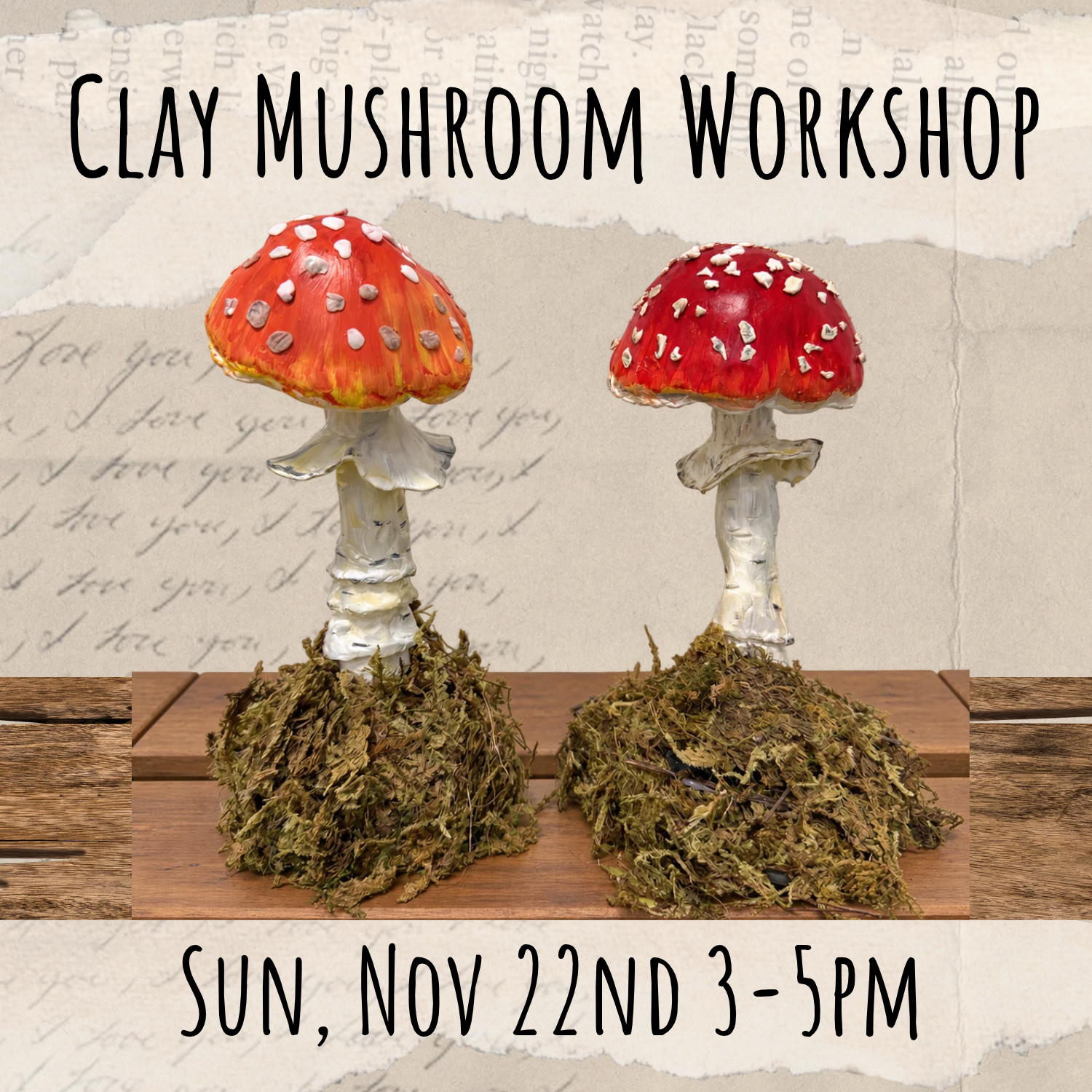 clay-mushroom-nov22.png