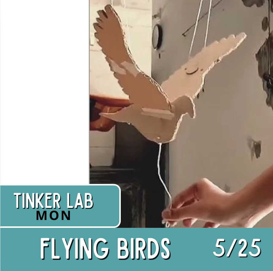 Screenshot 2026-03-03 at 5.07.52 PM.png