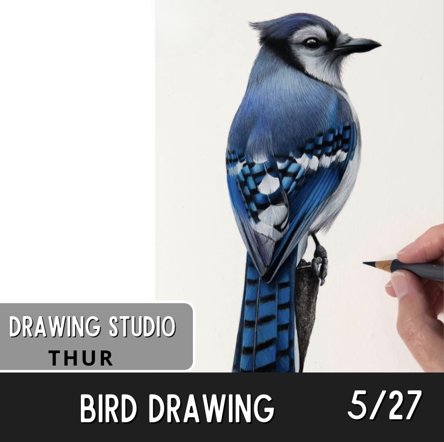 Screenshot 2026-03-03 at 5.10.50 PM.png