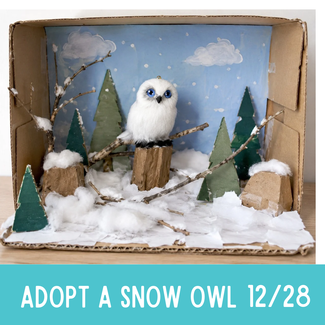 Dec 28th  Winter Break: Adopt a Snow Owl