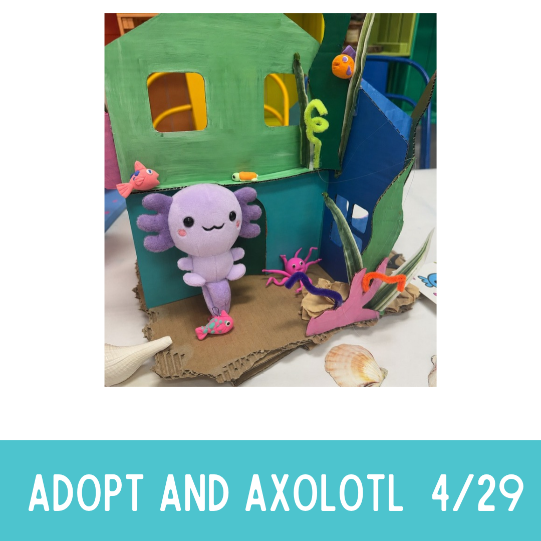 Apr 29th Adopt an Axolotl