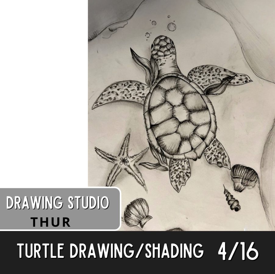 Screenshot 2026-03-03 at 5.09.59 PM.png