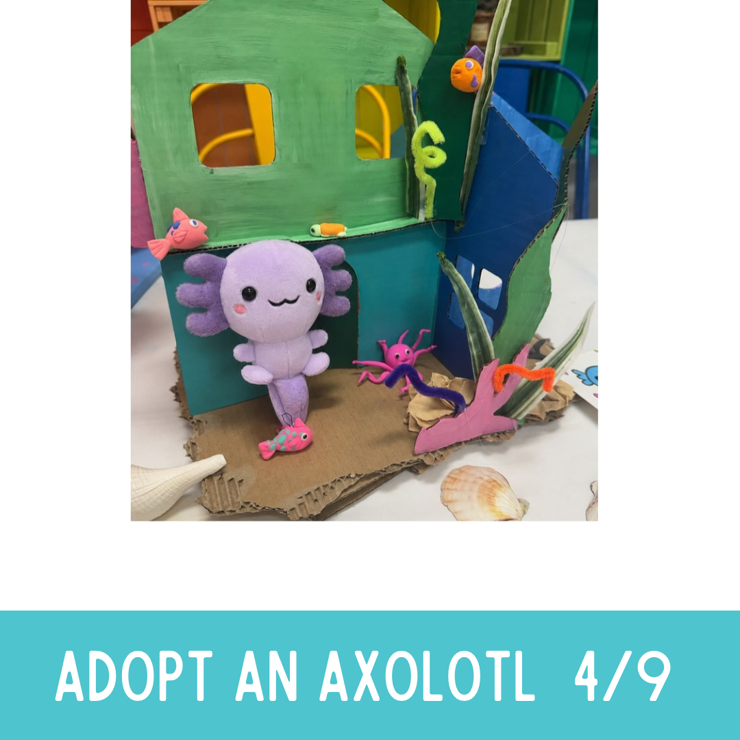 Apr 9th Adopt an Axolotl