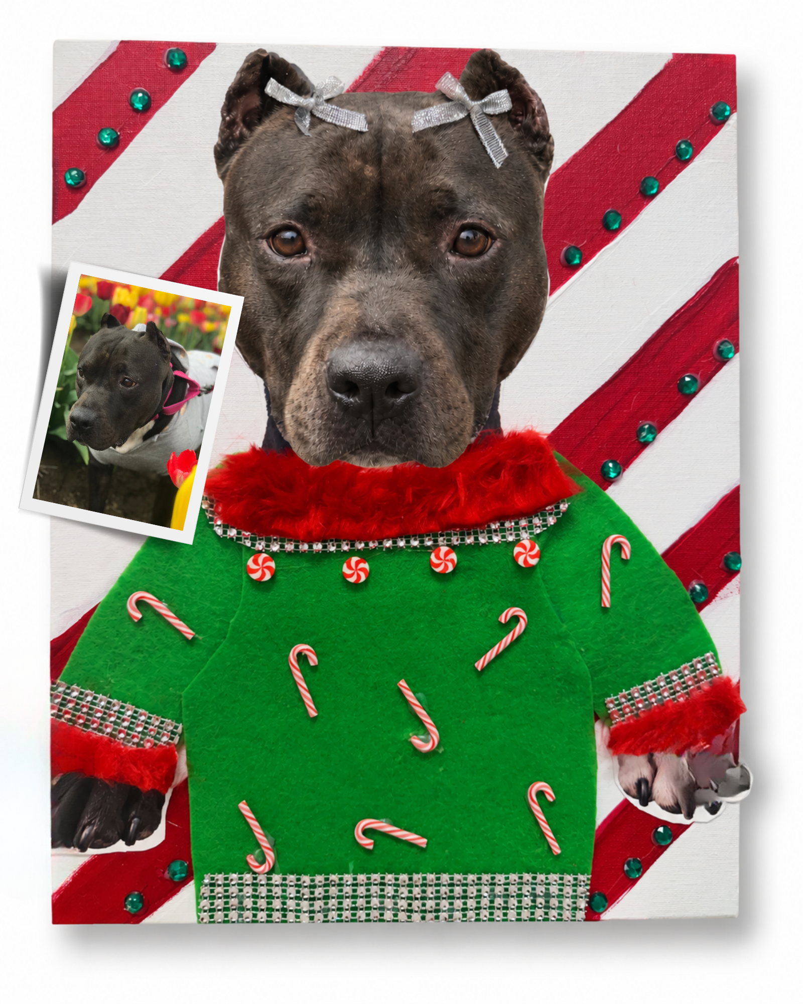Black dog holiday collage wearing silver bows and a green sweater decorated with candy canes and red fuzzy trim on a red and white striped background.