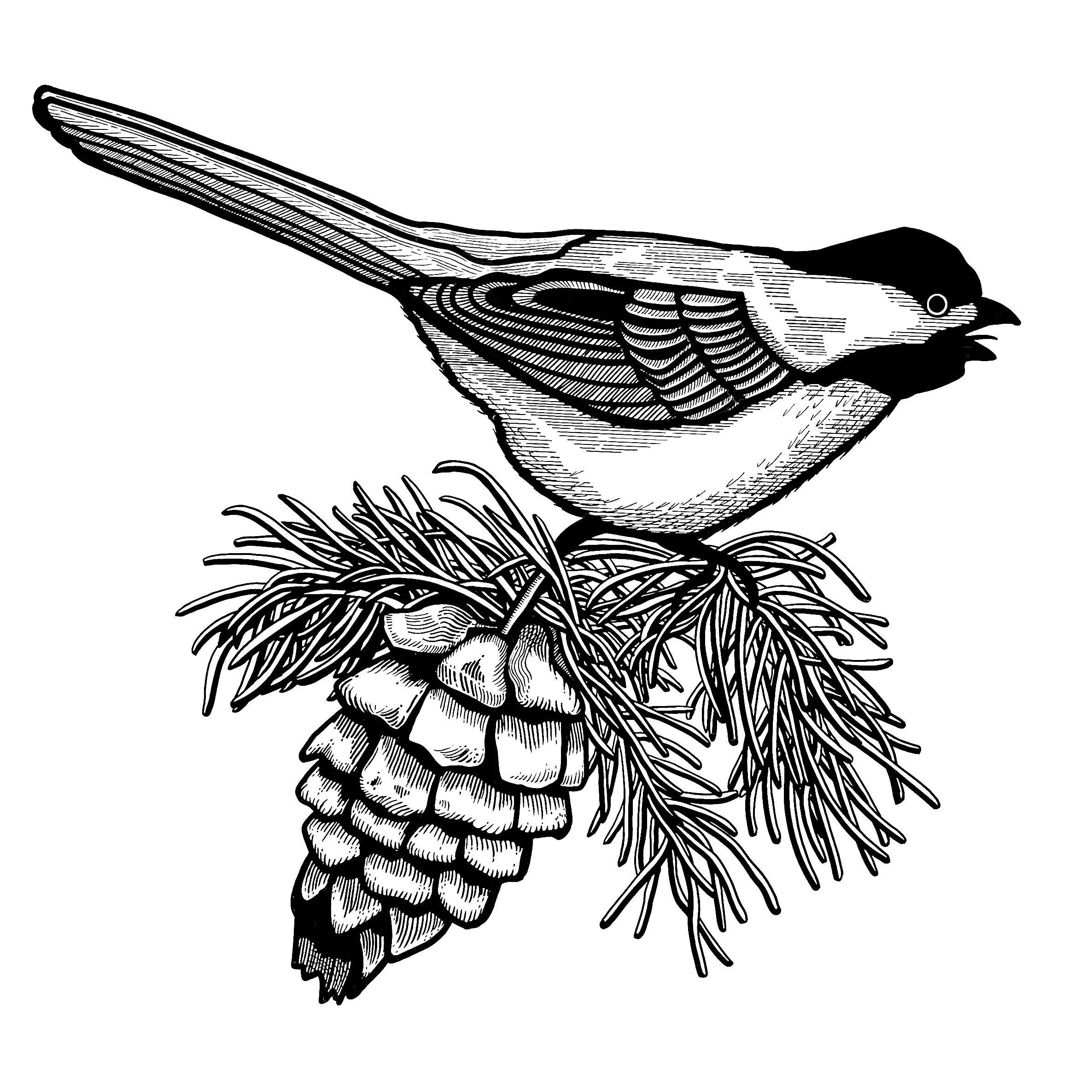 Put a Bird On It