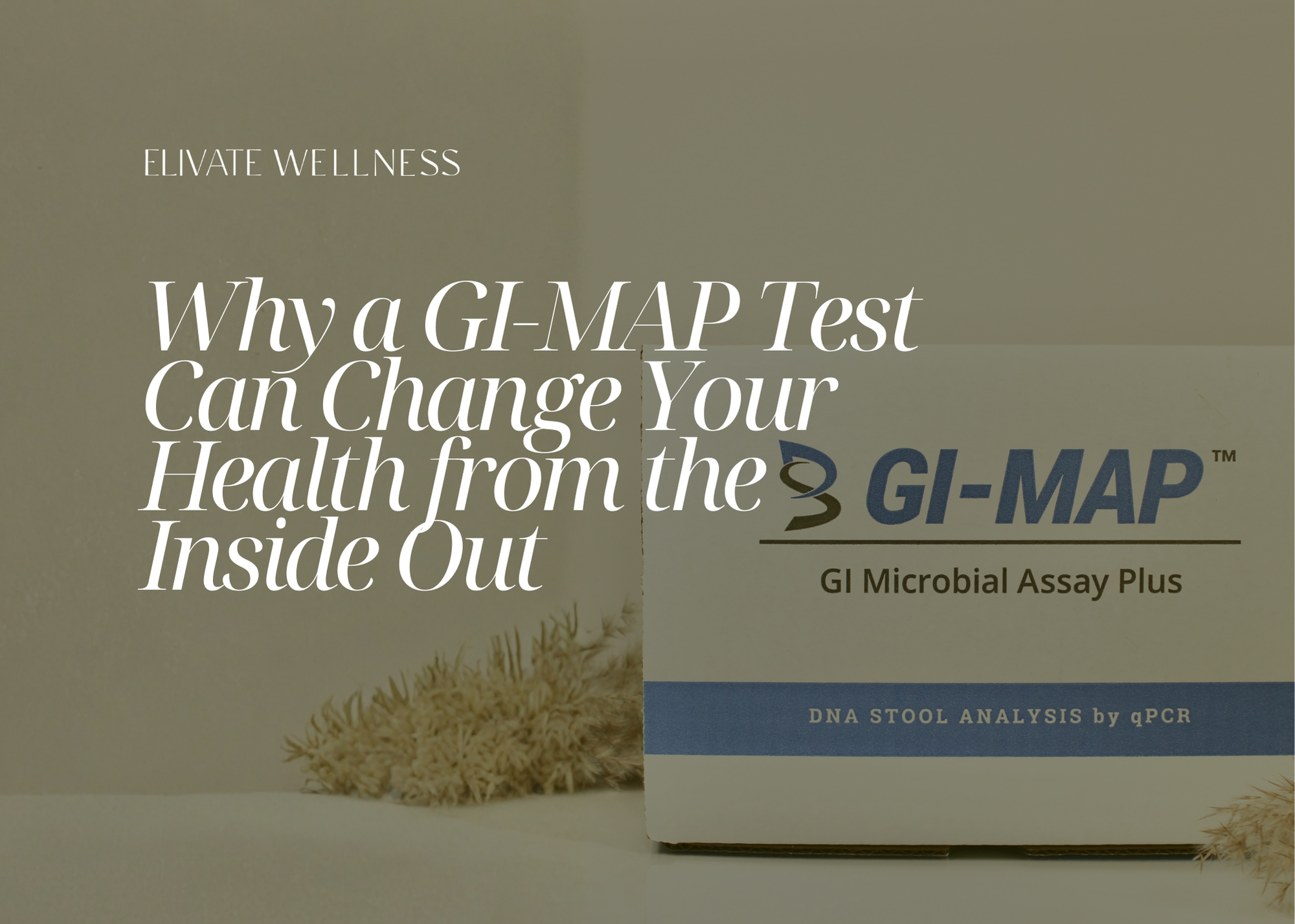 Why a GI Map Test Could Be the Missing Piece in Your Health Journey