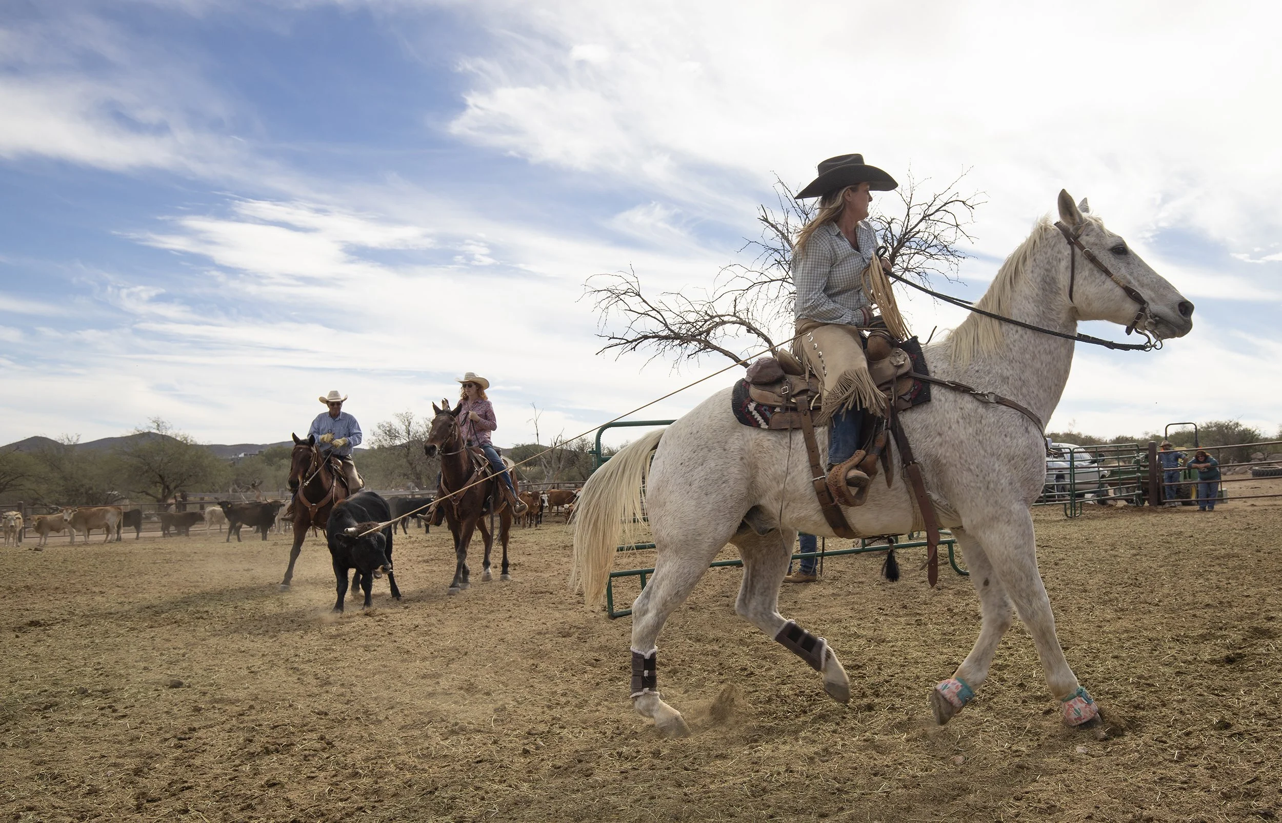 About the Ranch — Tombstone Monument Ranch & Cattle Co