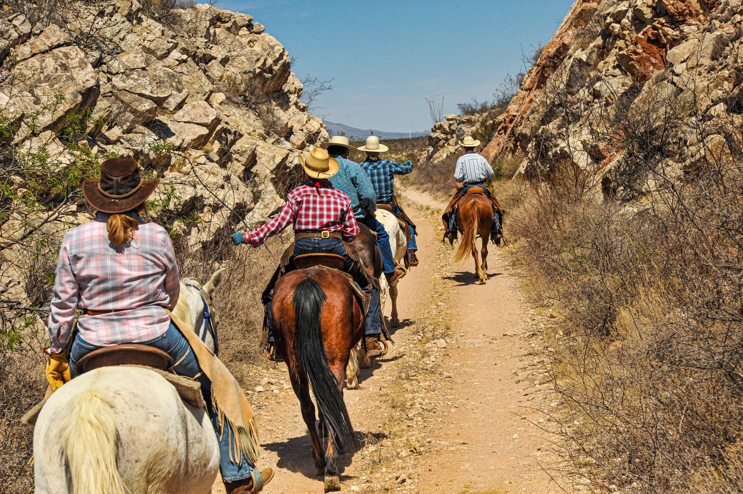 Horseback Riding — Tombstone Monument Ranch & Cattle Co