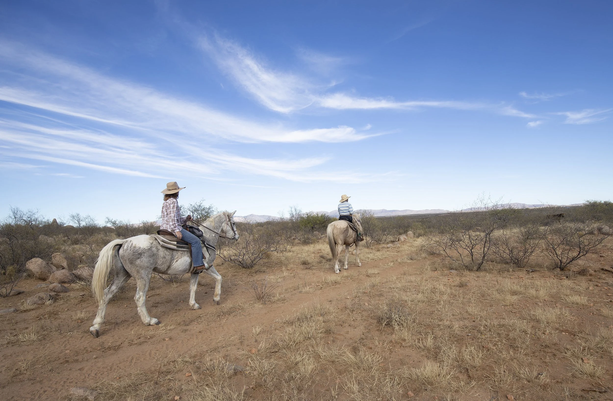 Horseback Riding — Tombstone Monument Ranch & Cattle Co