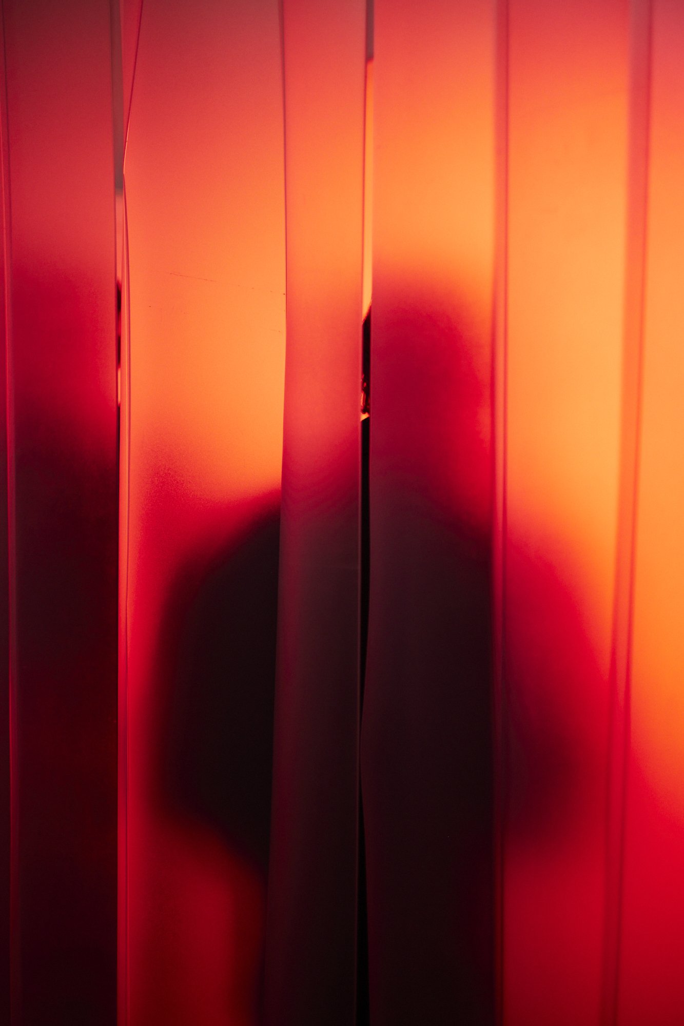 AtmospheresPrimales_3385.jpg