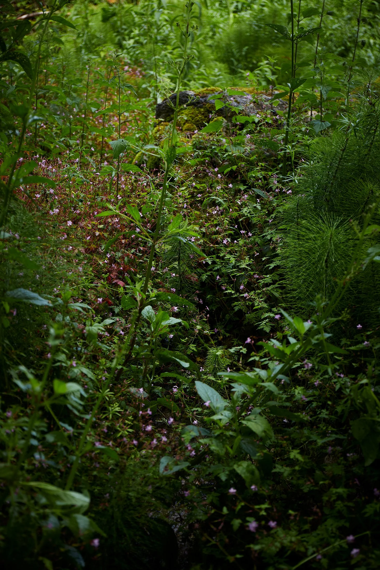 Berrac_2015_HD.jpg