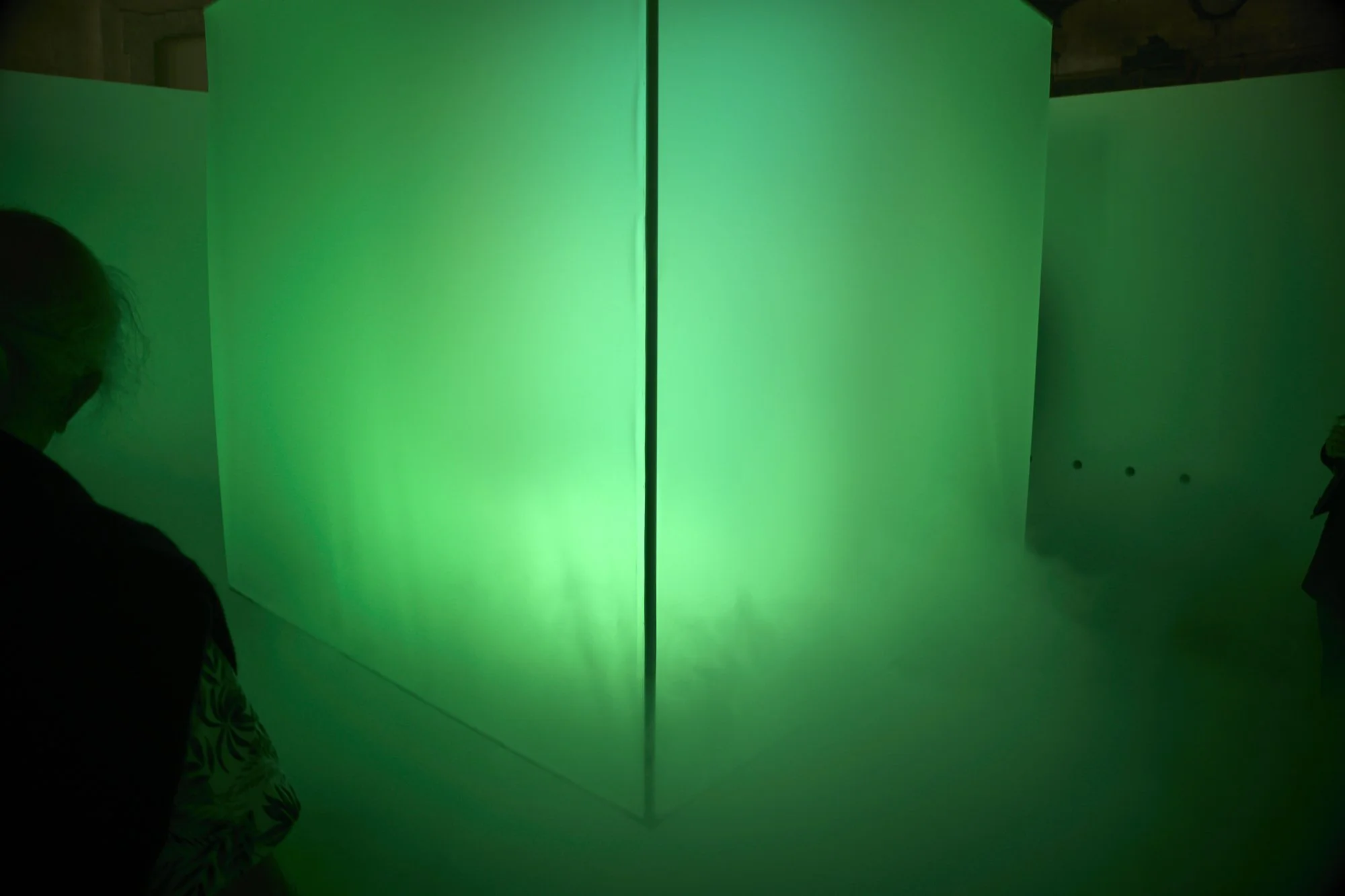 AtmospheresPrimales_3320.jpg