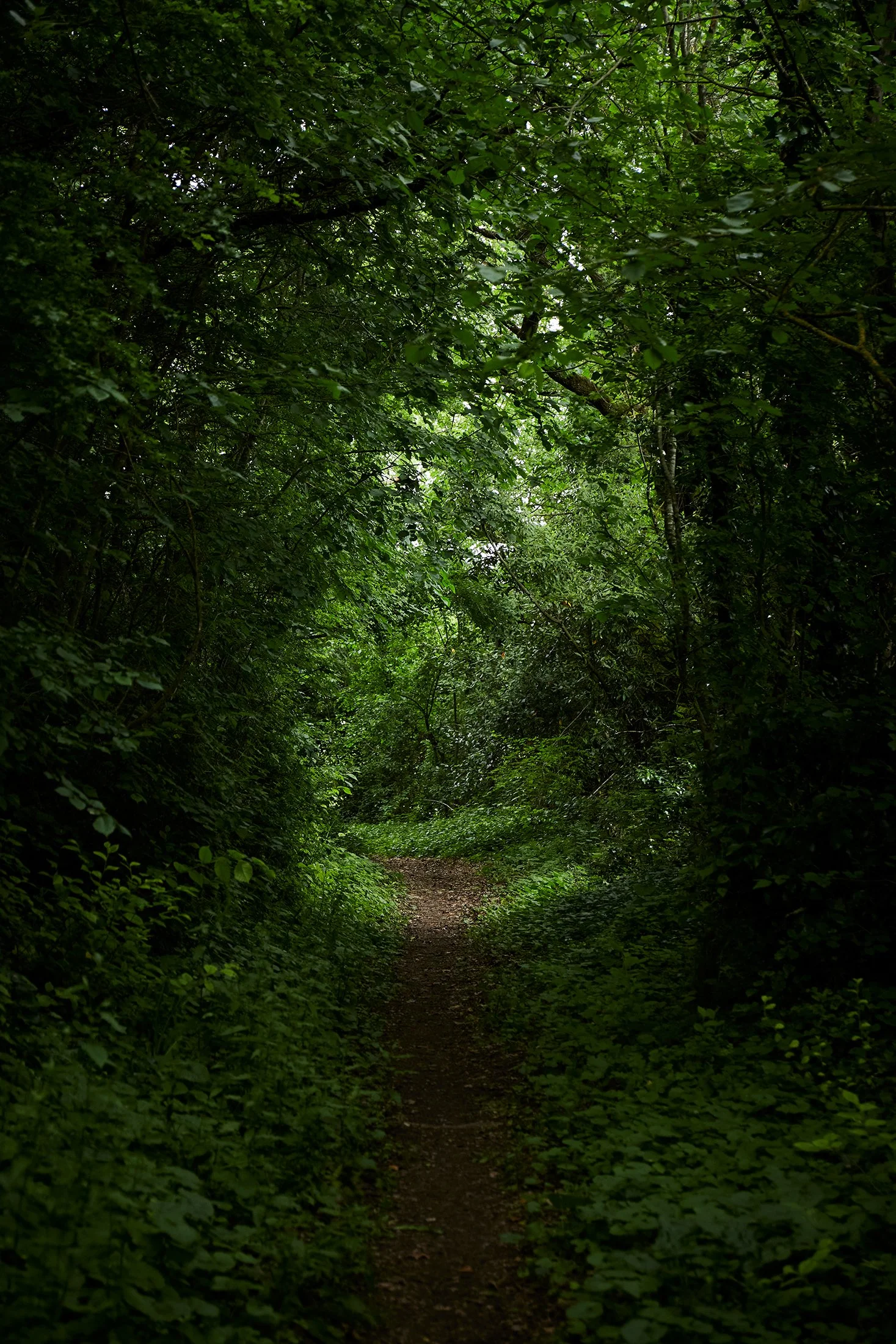 Berrac_2445_HD.jpg