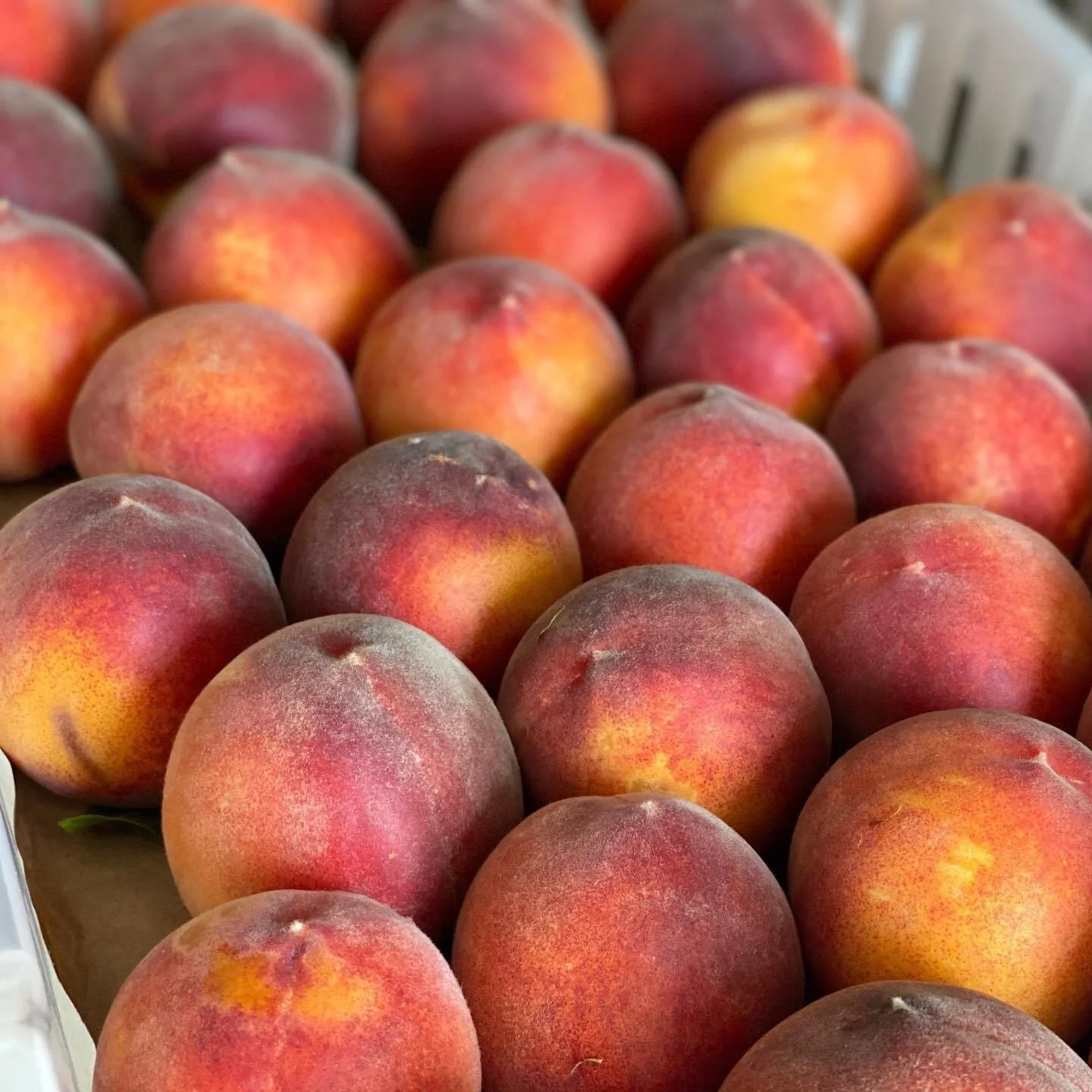 EE1BF934-E8B3-4F0B-A443-BEA5B1F87C5E