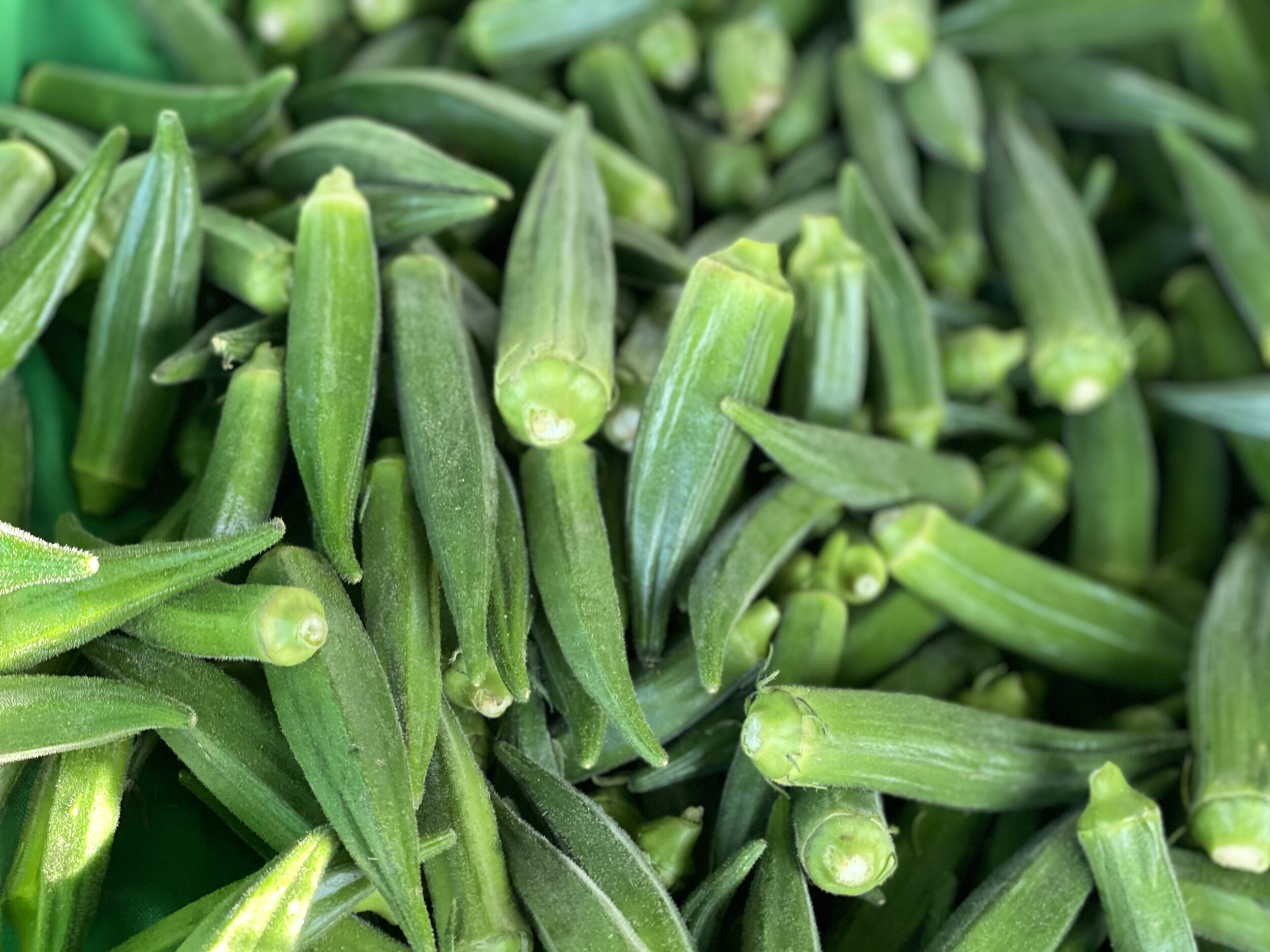 52CB70B3-A151-4146-A8A9-31000F2054A3