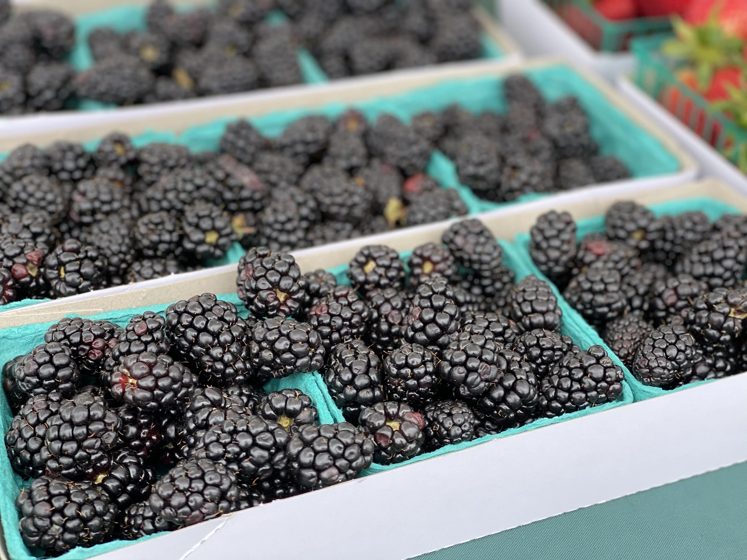 5A28CAC4-EDA7-4942-82CA-CC45D7B2F9DE