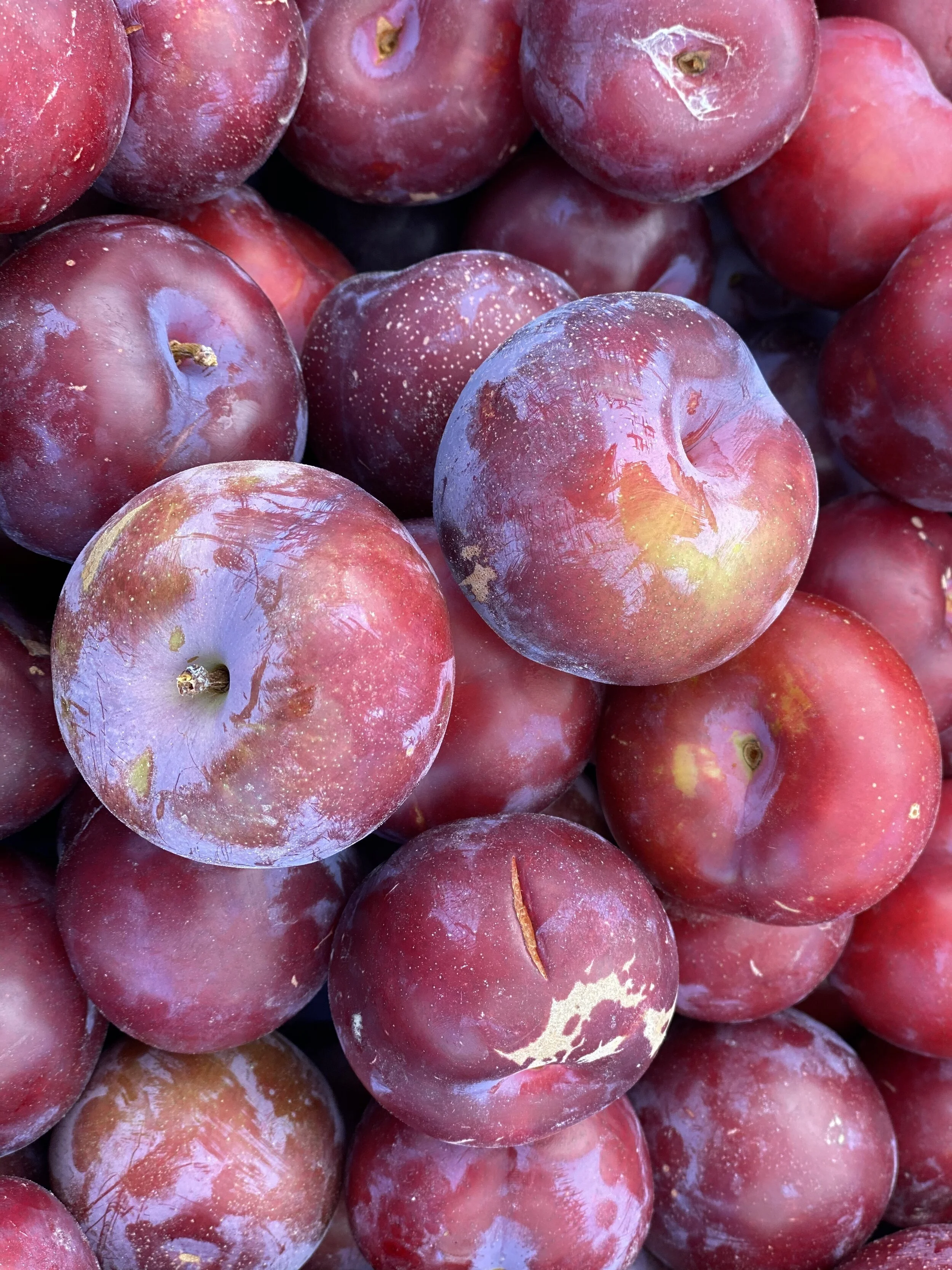 69DE62BA-33F4-4706-BD96-5A89334984FF